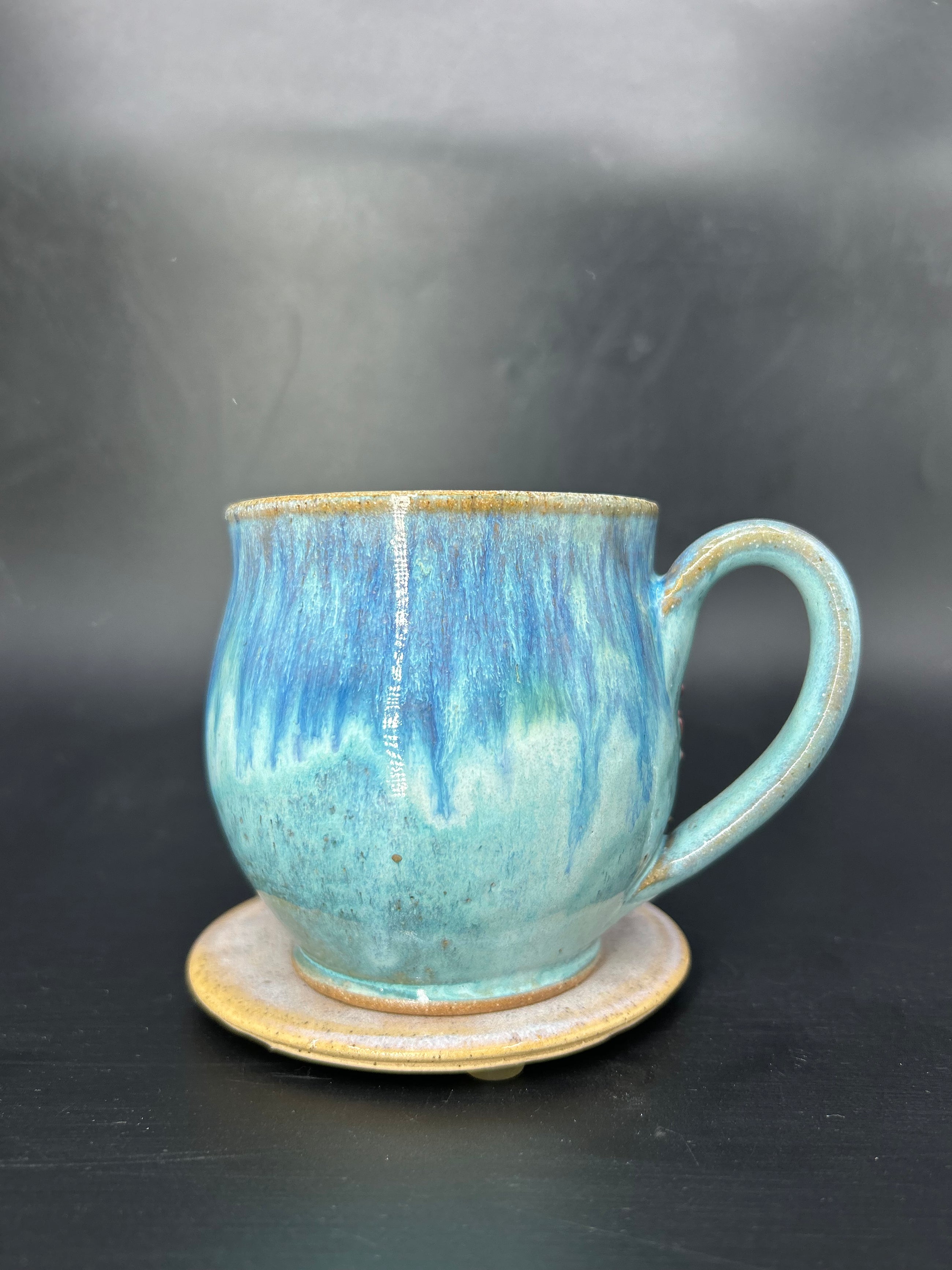 MEDIUM seahorse mug 5