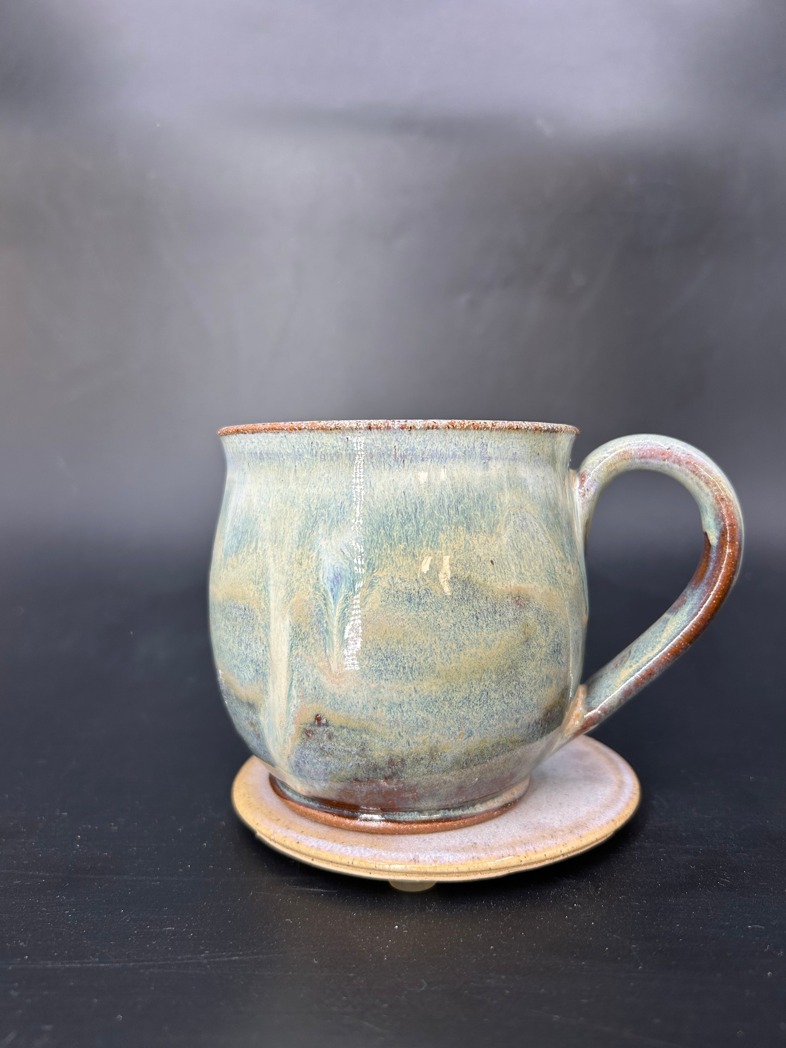 MEDIUM turtle mug 3