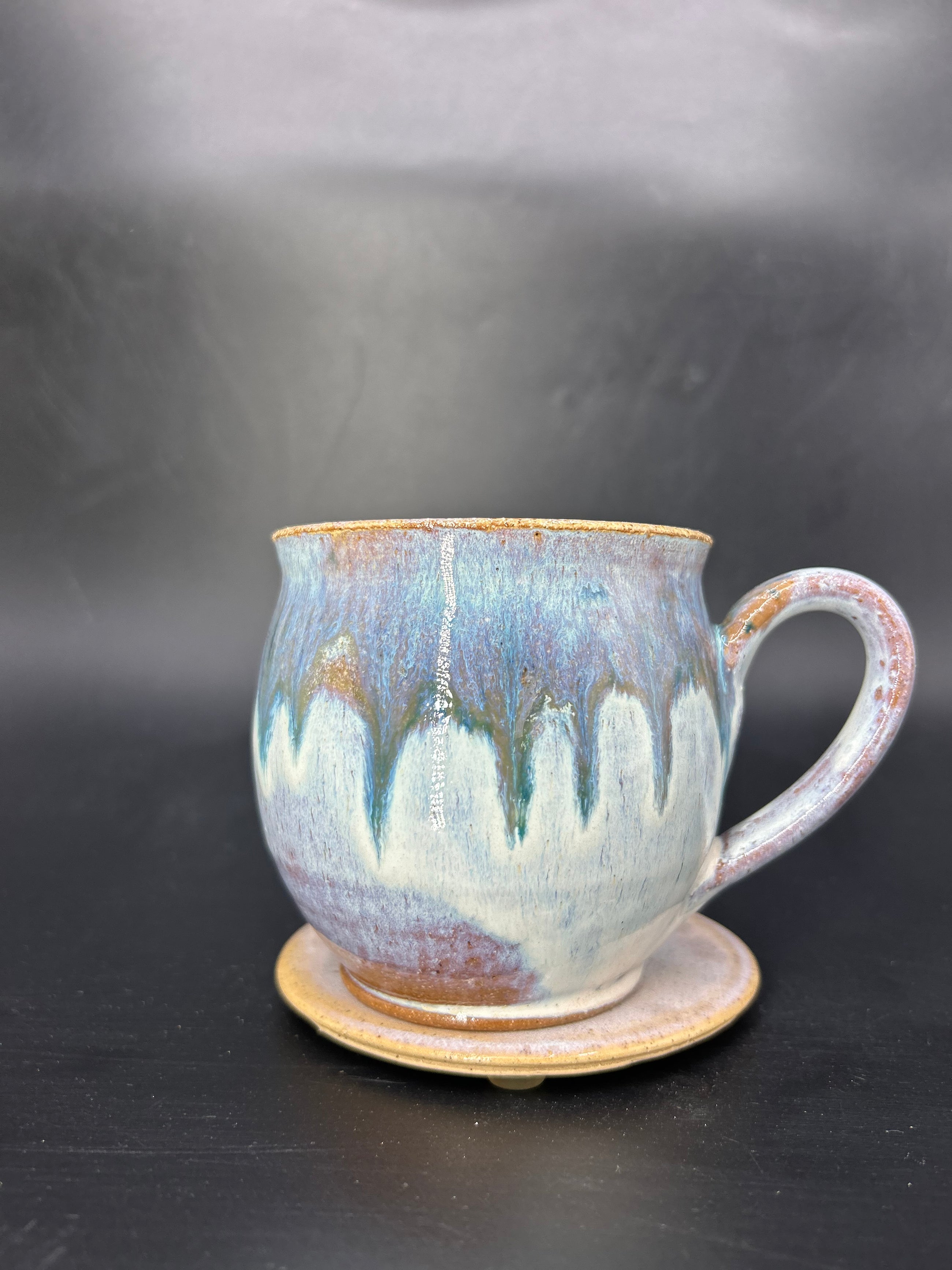 MEDIUM moth mug 13