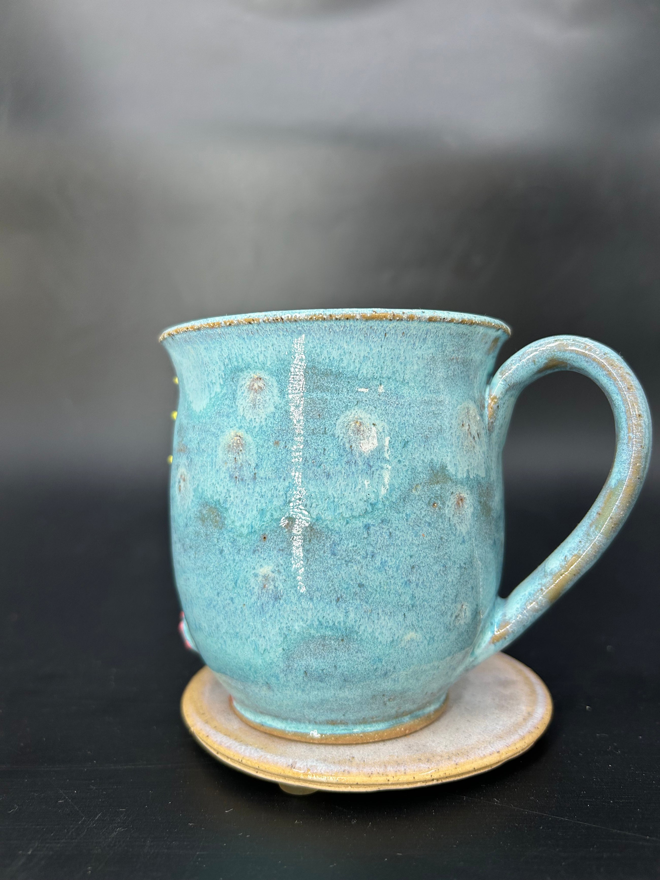 MEDIUM turtle mug 9