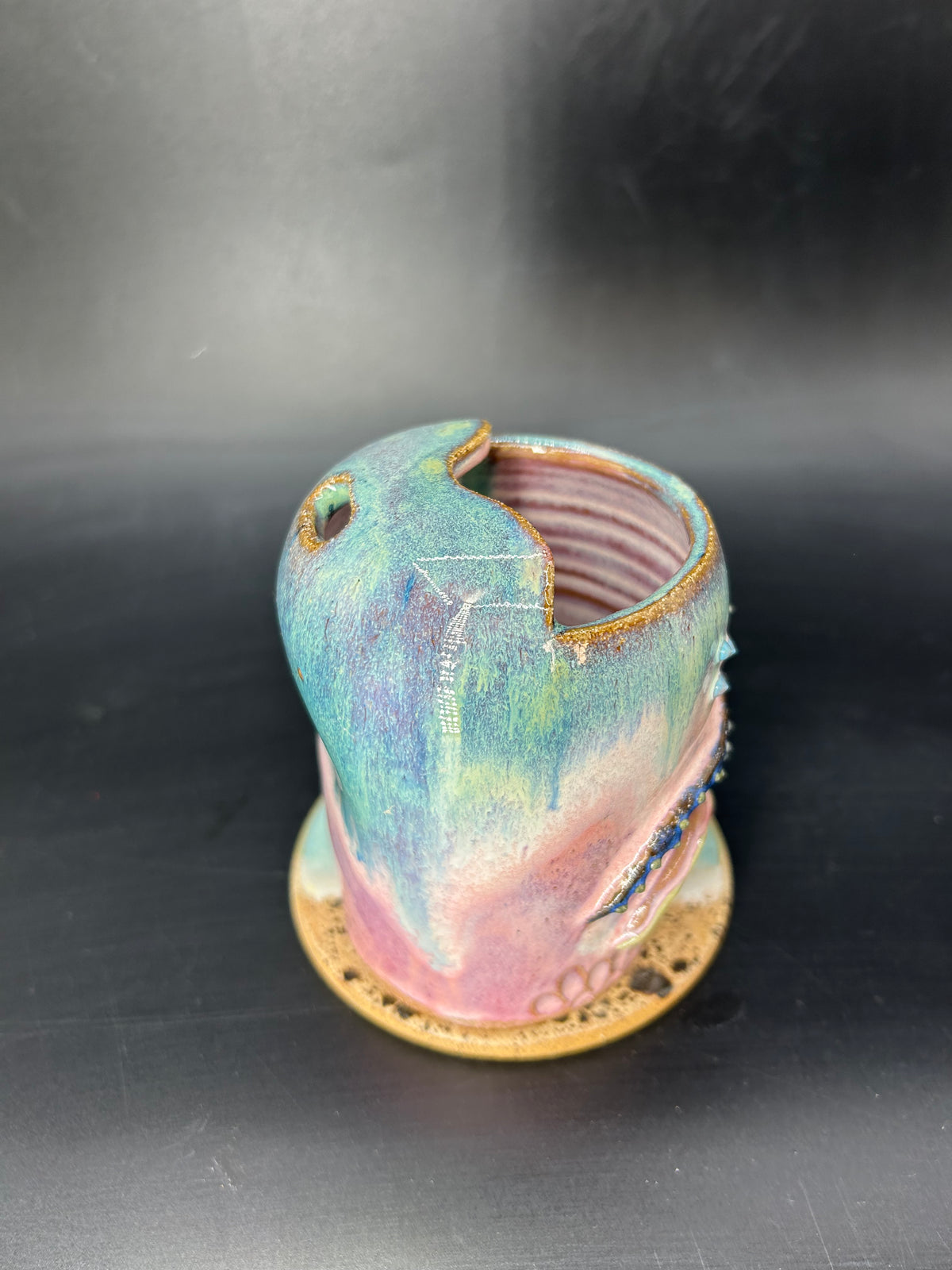 Whale shark keep cup