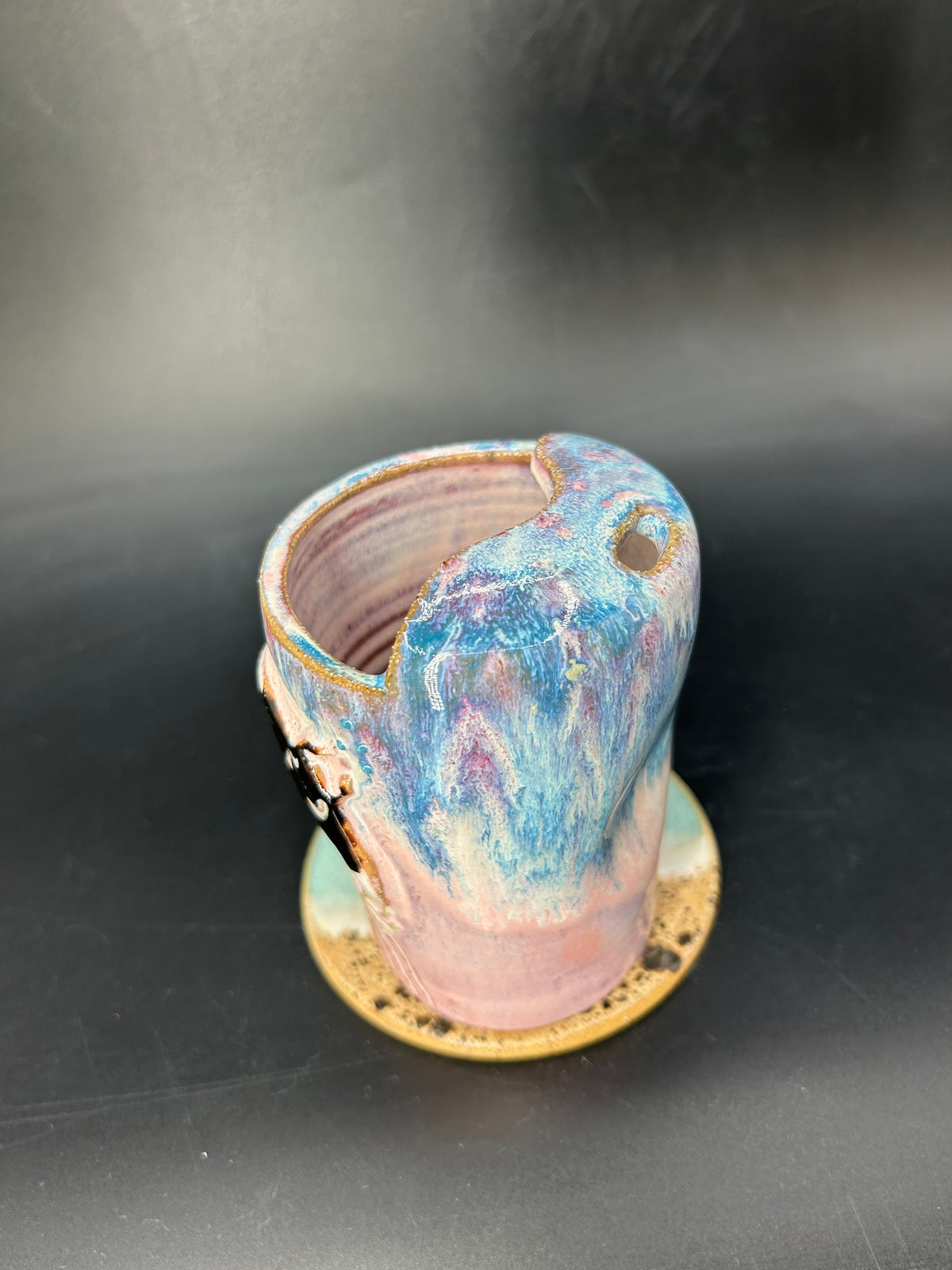 Turtle / mantaray keep cup