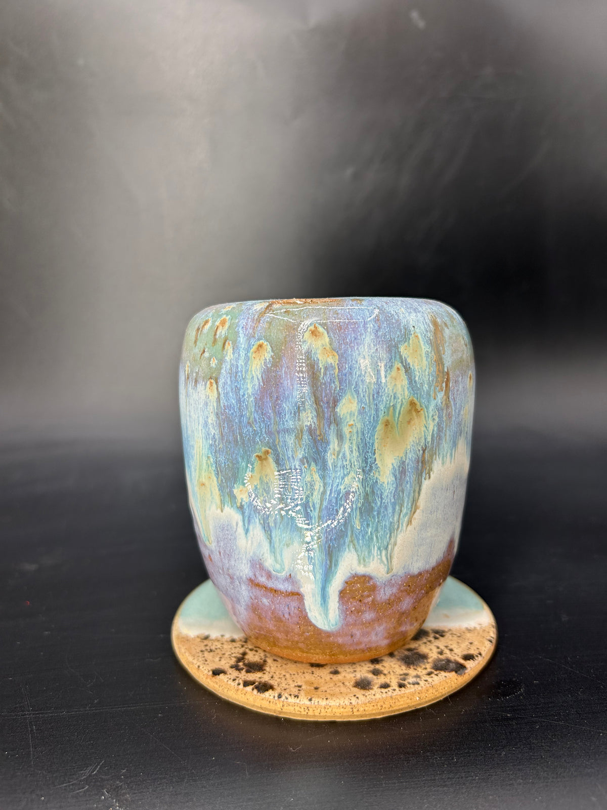 Whale shark keep cup
