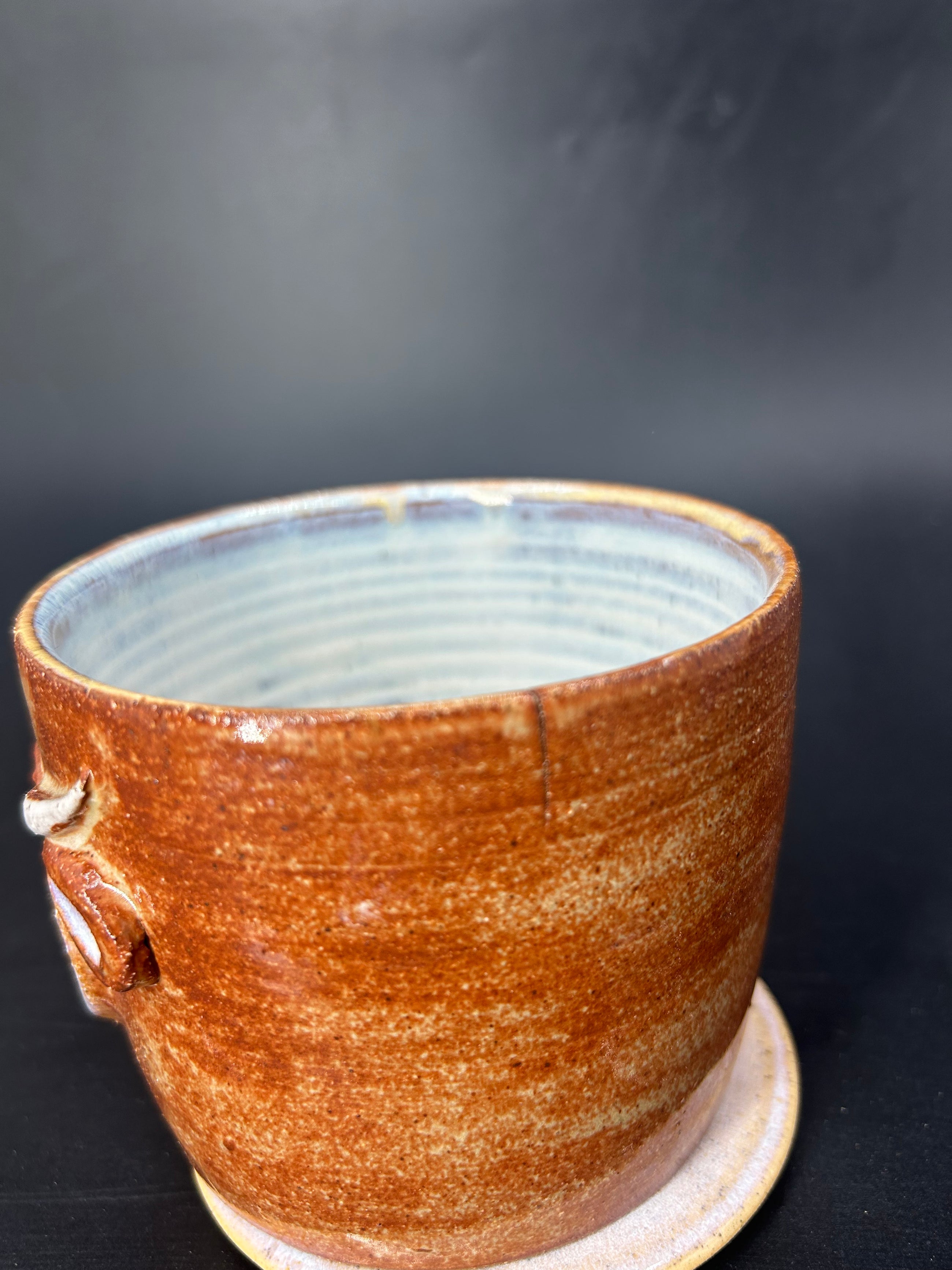 NEW - IMPERFECT highland cow CANISTER - no lid