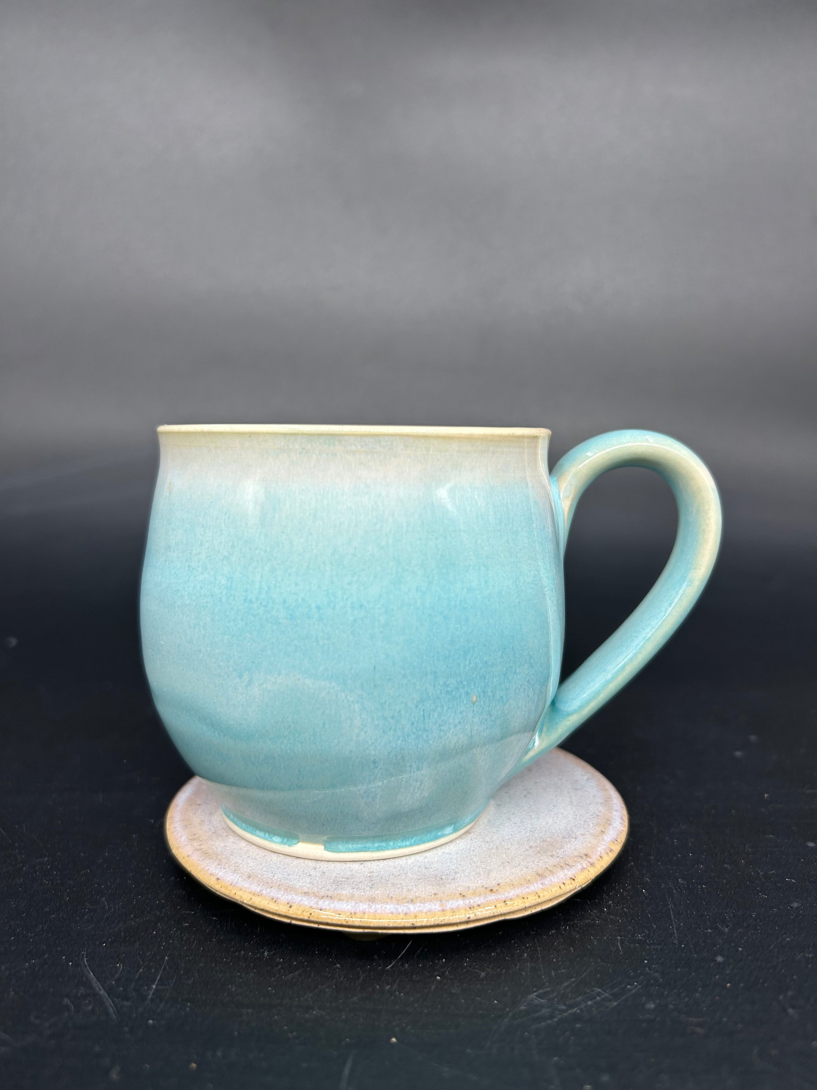 MEDIUM seahorse mug 1