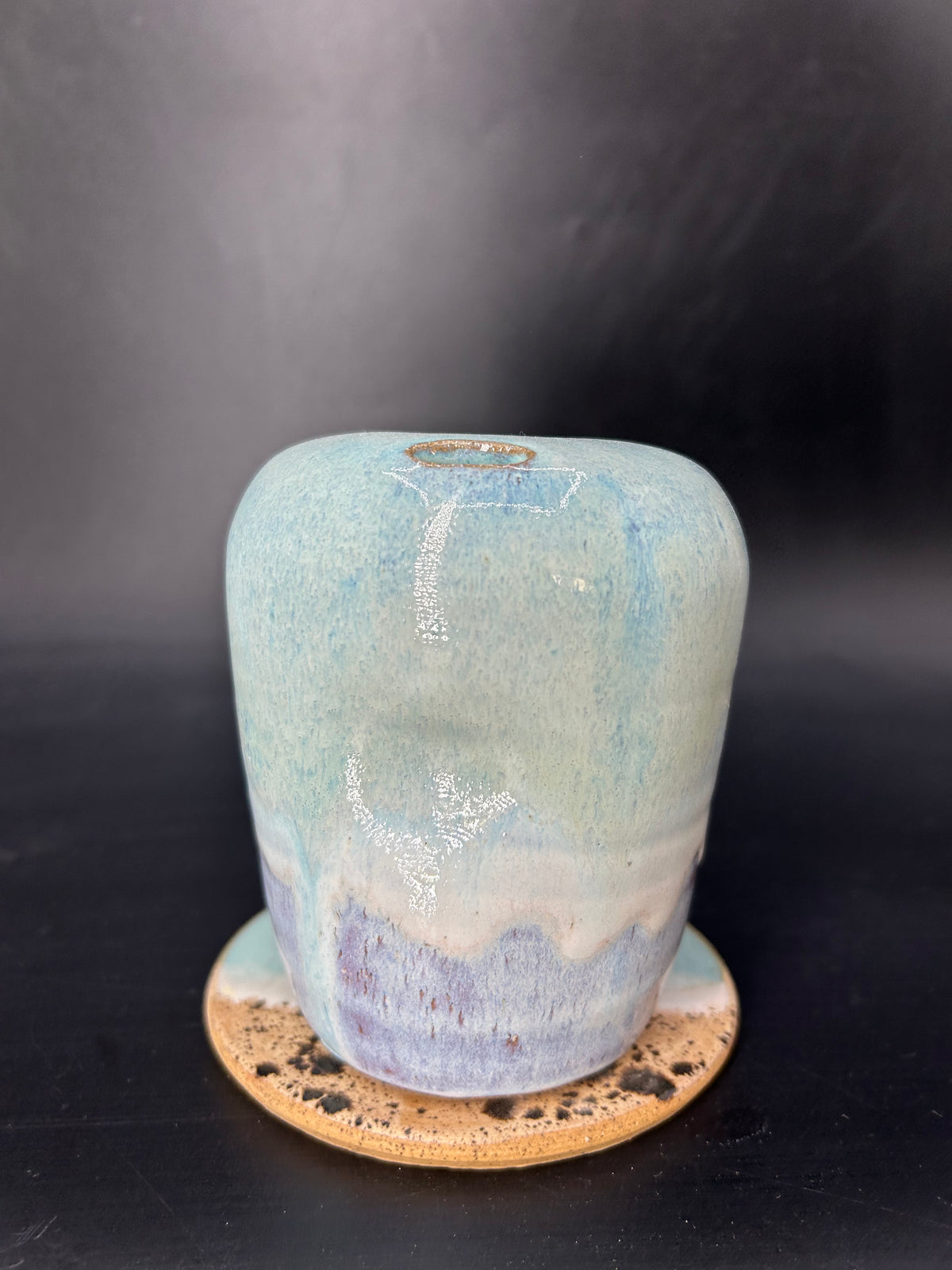 Turtle keep cup
