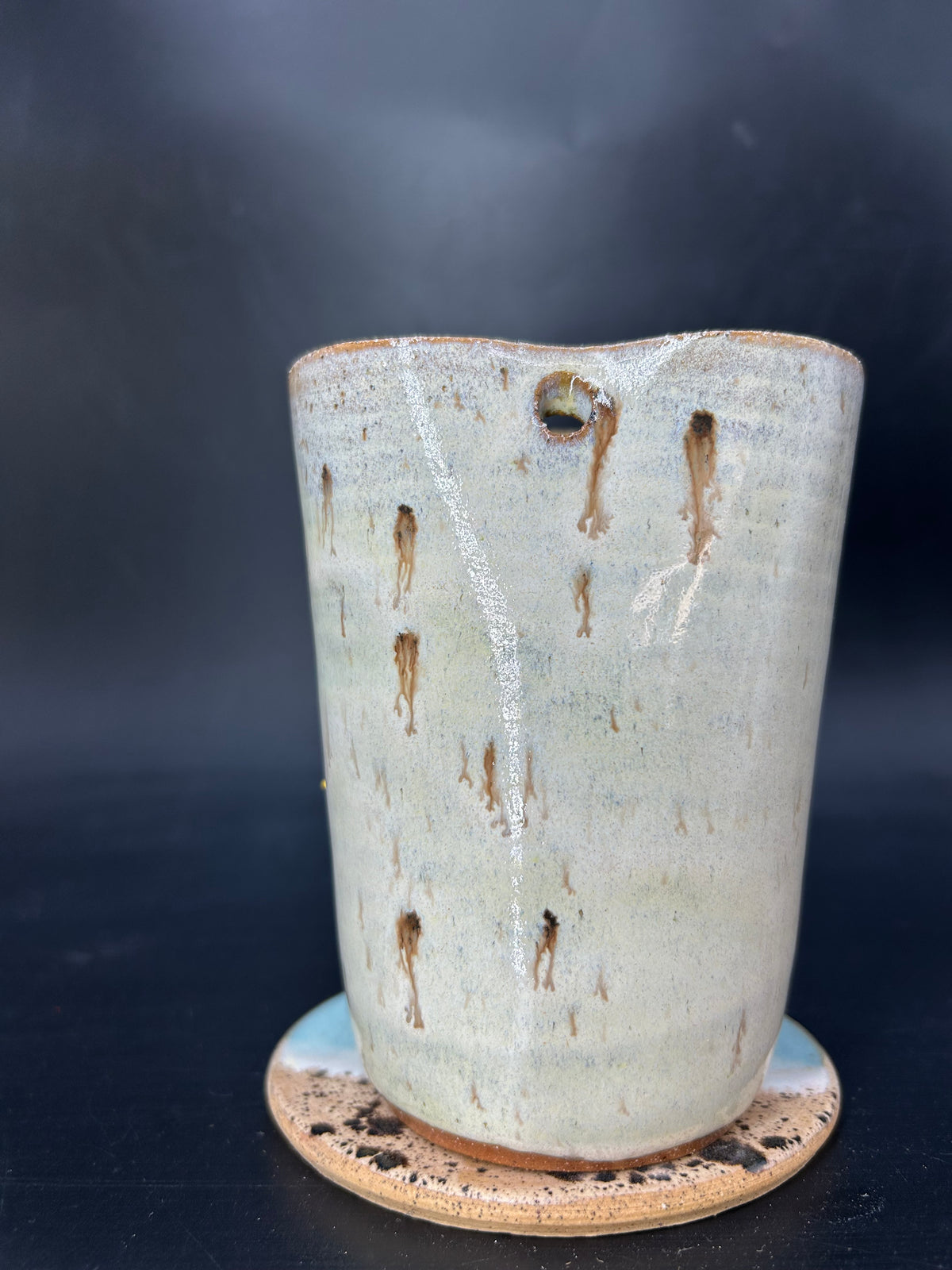 MEDIUM Australian koala STRAW TUMBLER 5