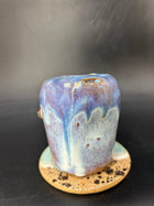 Whale shark keep cup - short