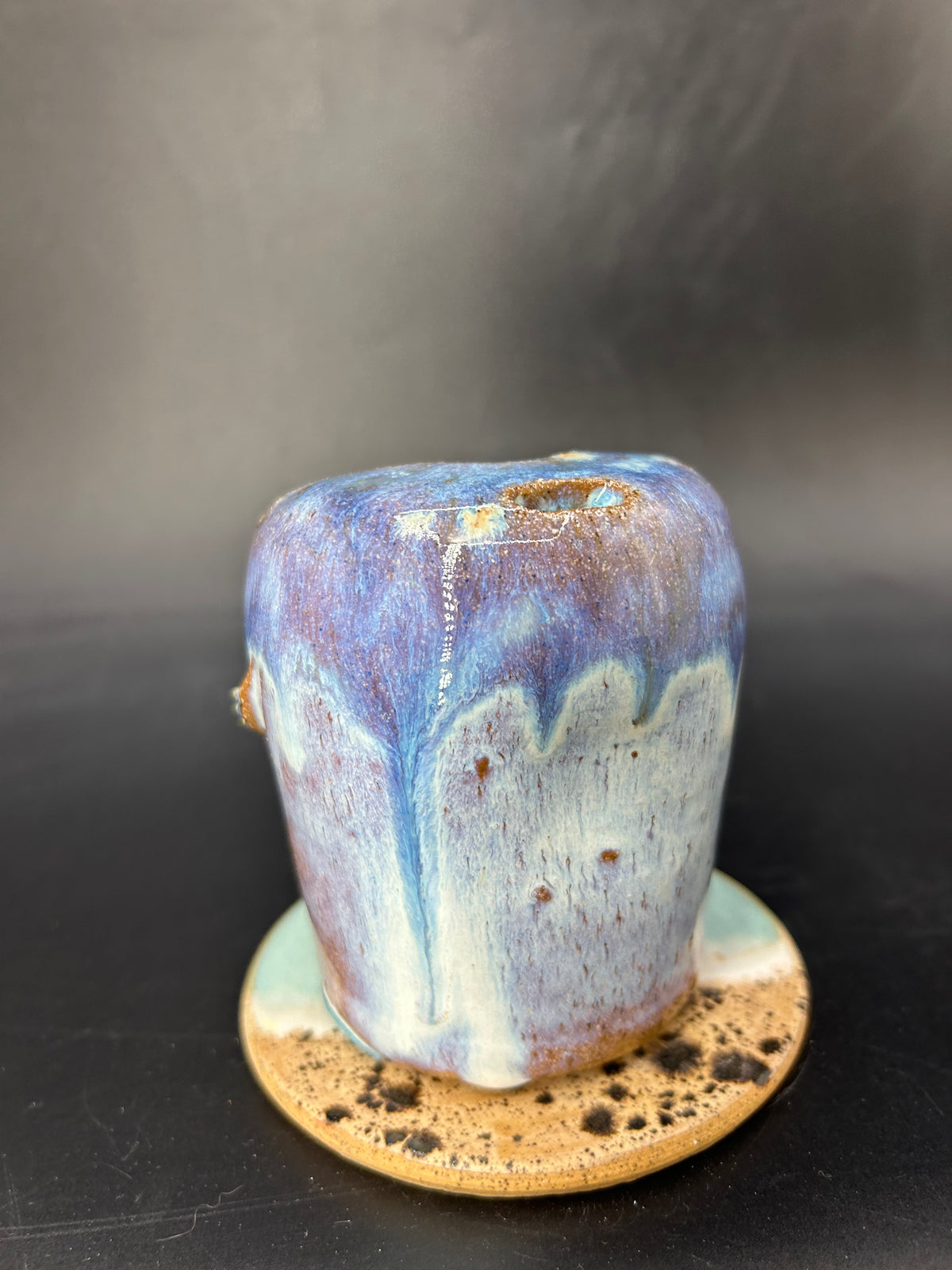 Whale shark keep cup - short