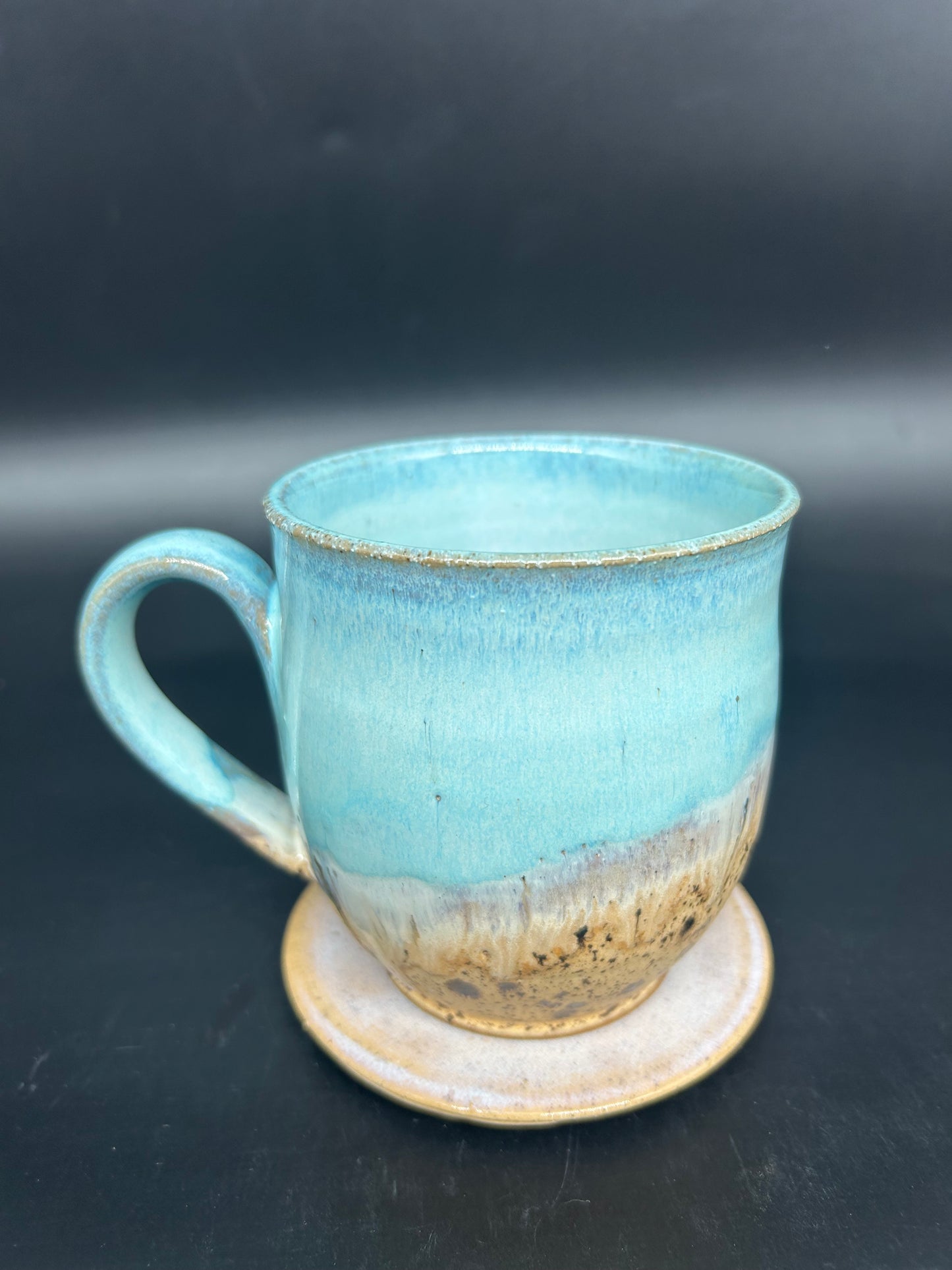 MEDIUM falcon bay mug 2