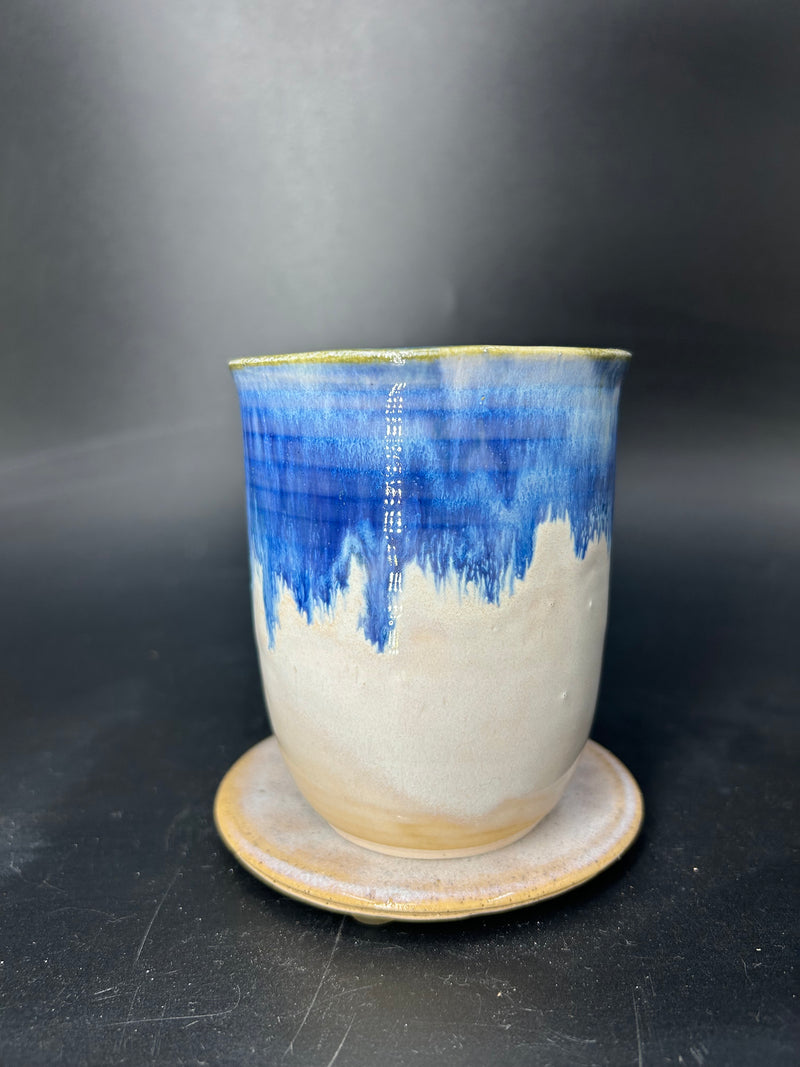 NEW - seahorse KEEP CUP