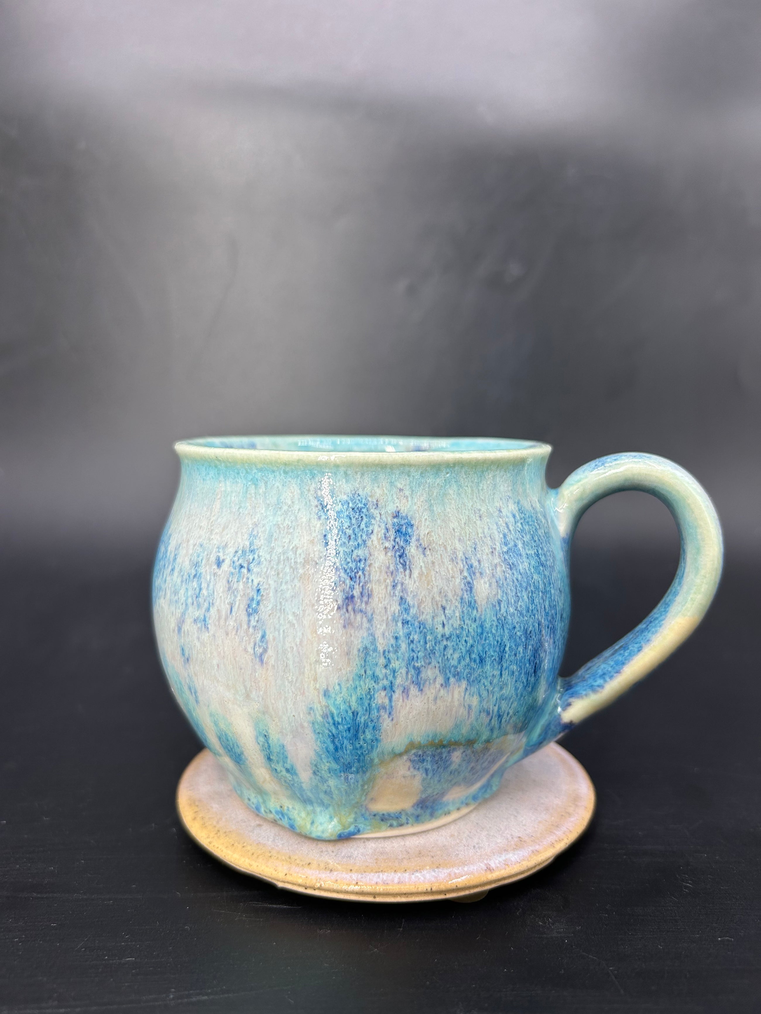 MEDIUM orca mug 5