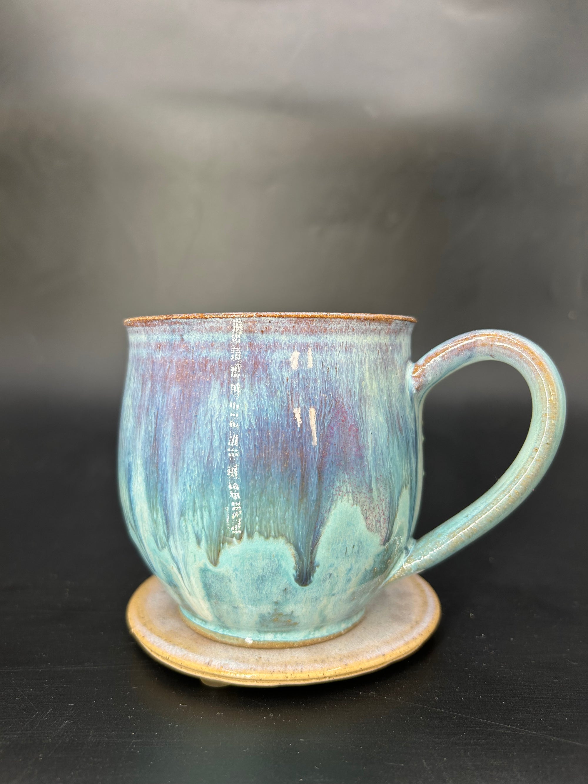 MEDIUM turtle mug 17
