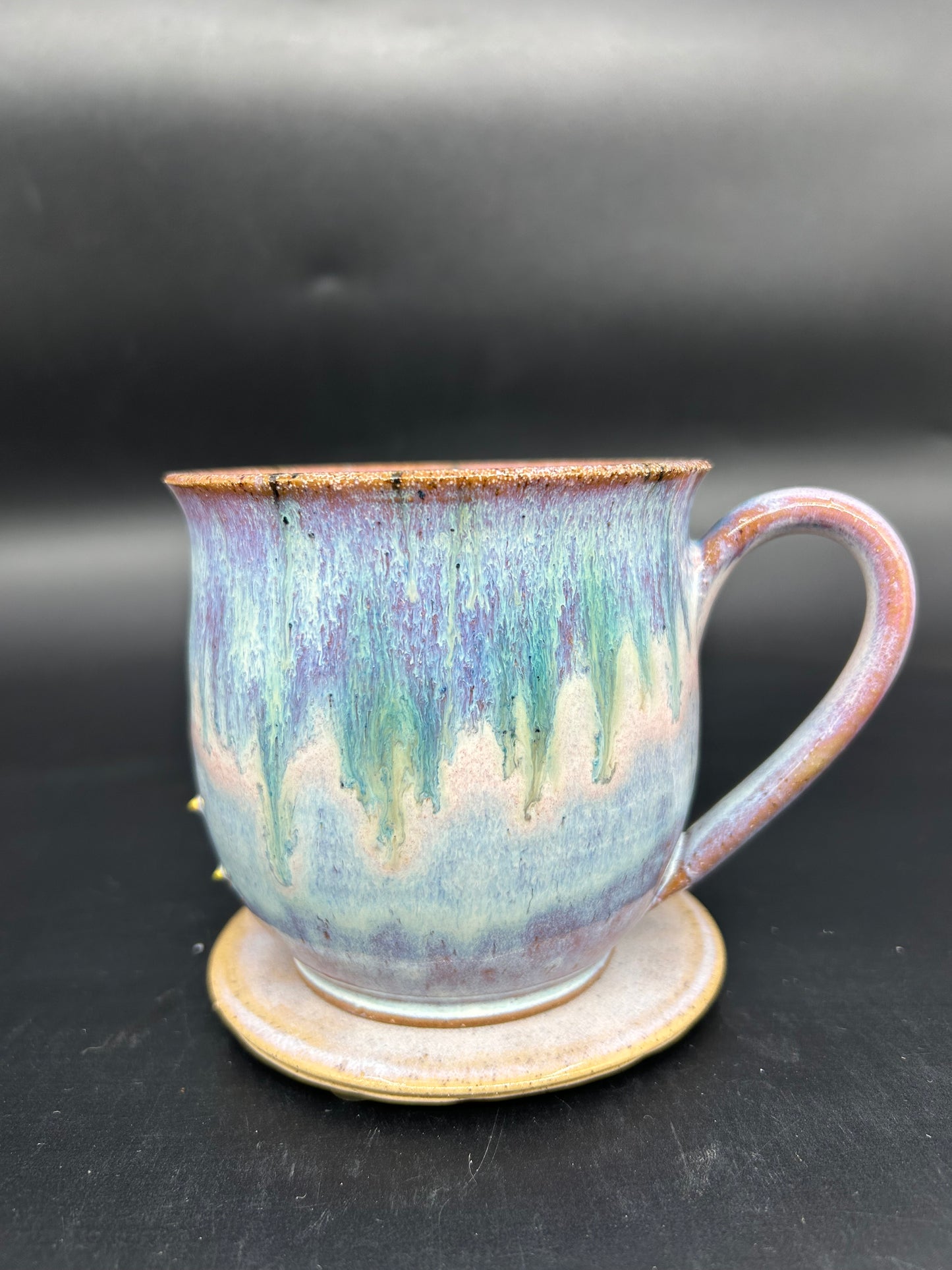 MEDIUM Turtle Mug 2
