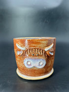NEW - IMPERFECT highland cow CANISTER - no lid