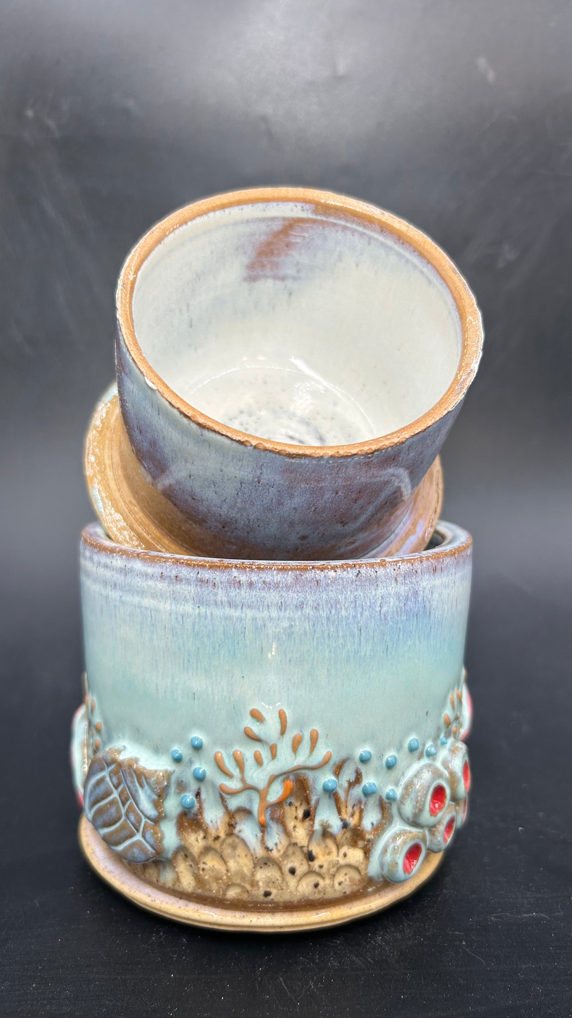 WRAP AROUND CORAL - BUTTERBELL