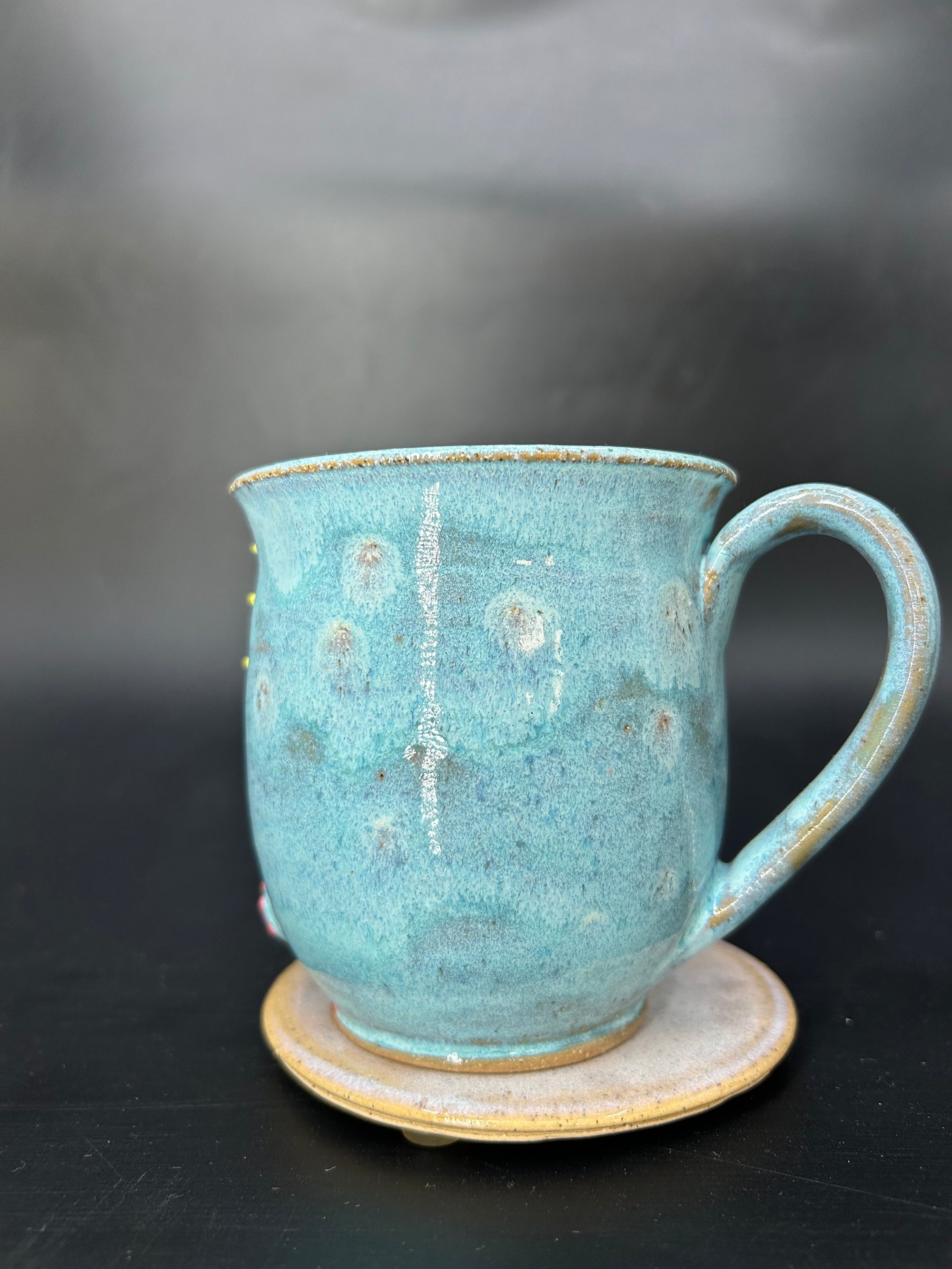 MEDIUM turtle mug 9