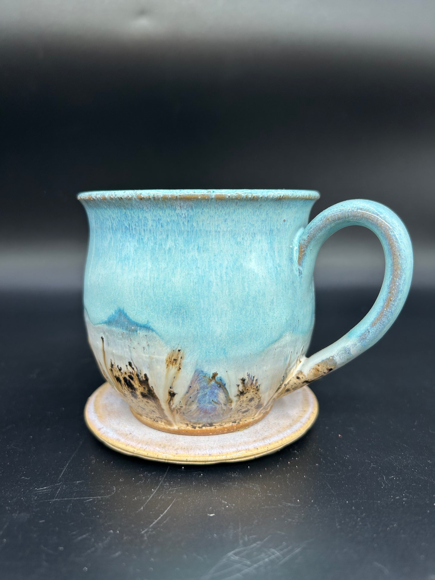 MEDIUM Turtle Mug 9