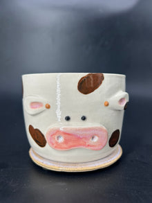 NEW - highland cow CANISTER - no lid