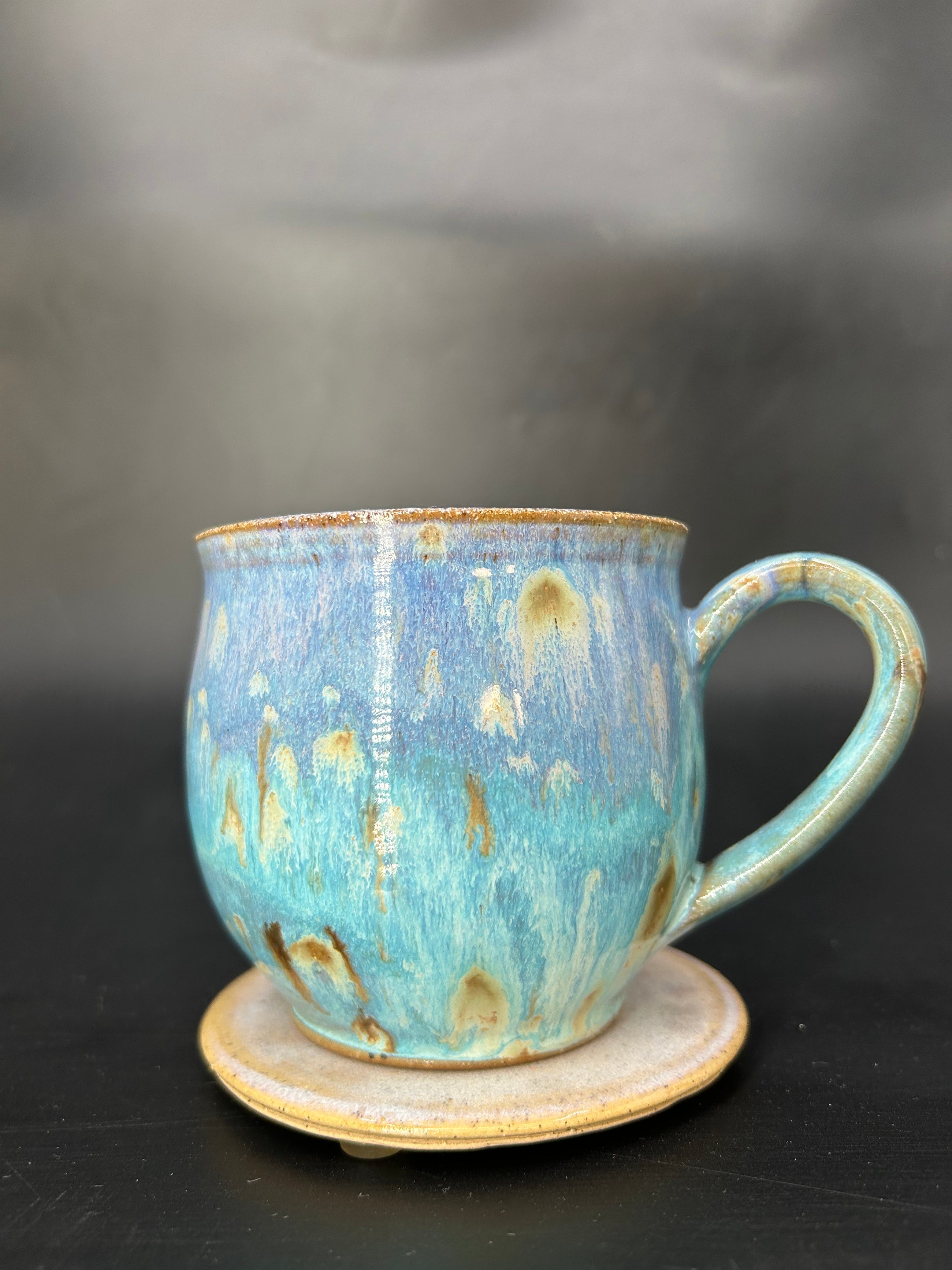 MEDIUM turtle coral mug 8