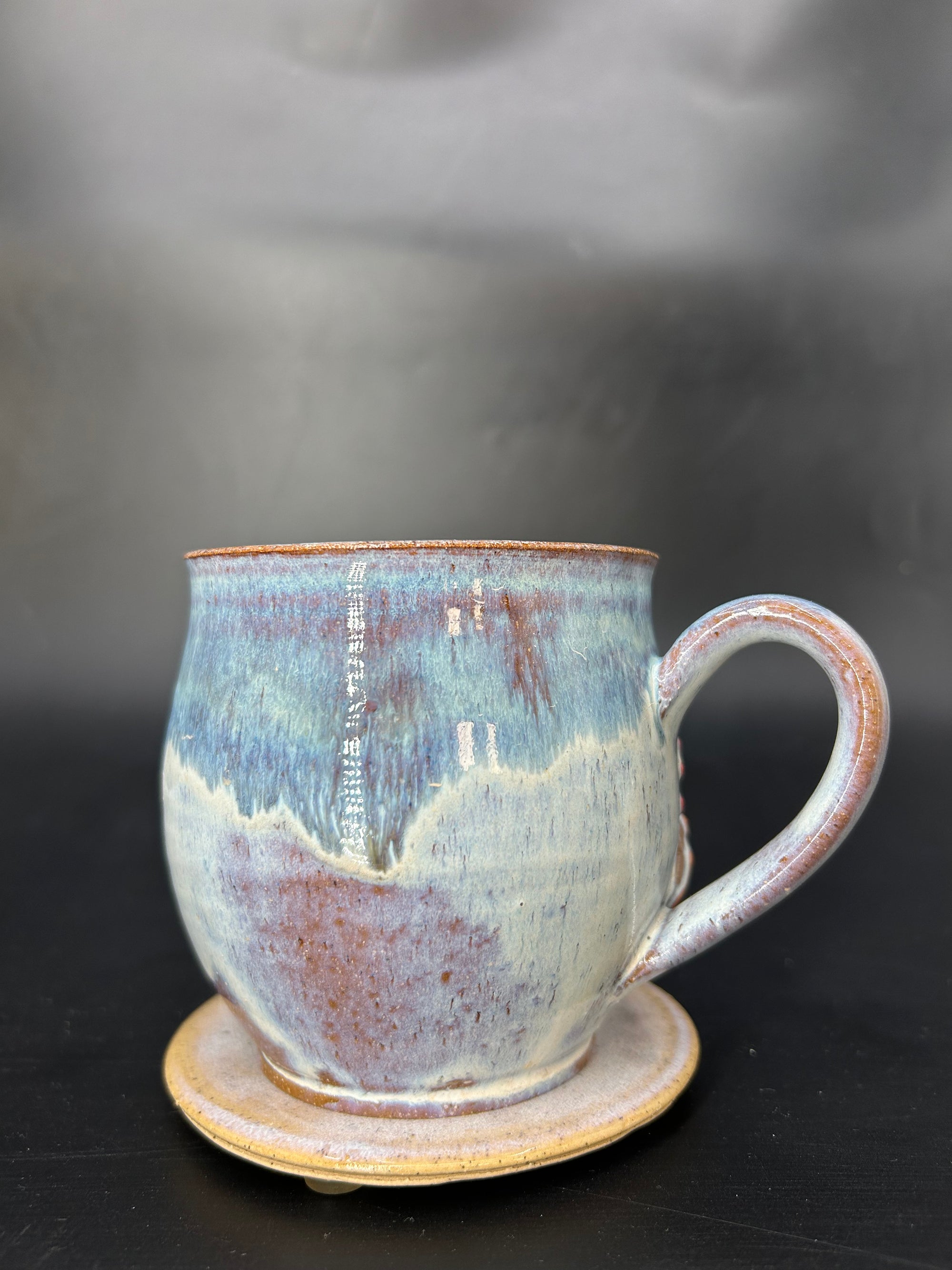 MEDIUM turtle / seahorse mug 6