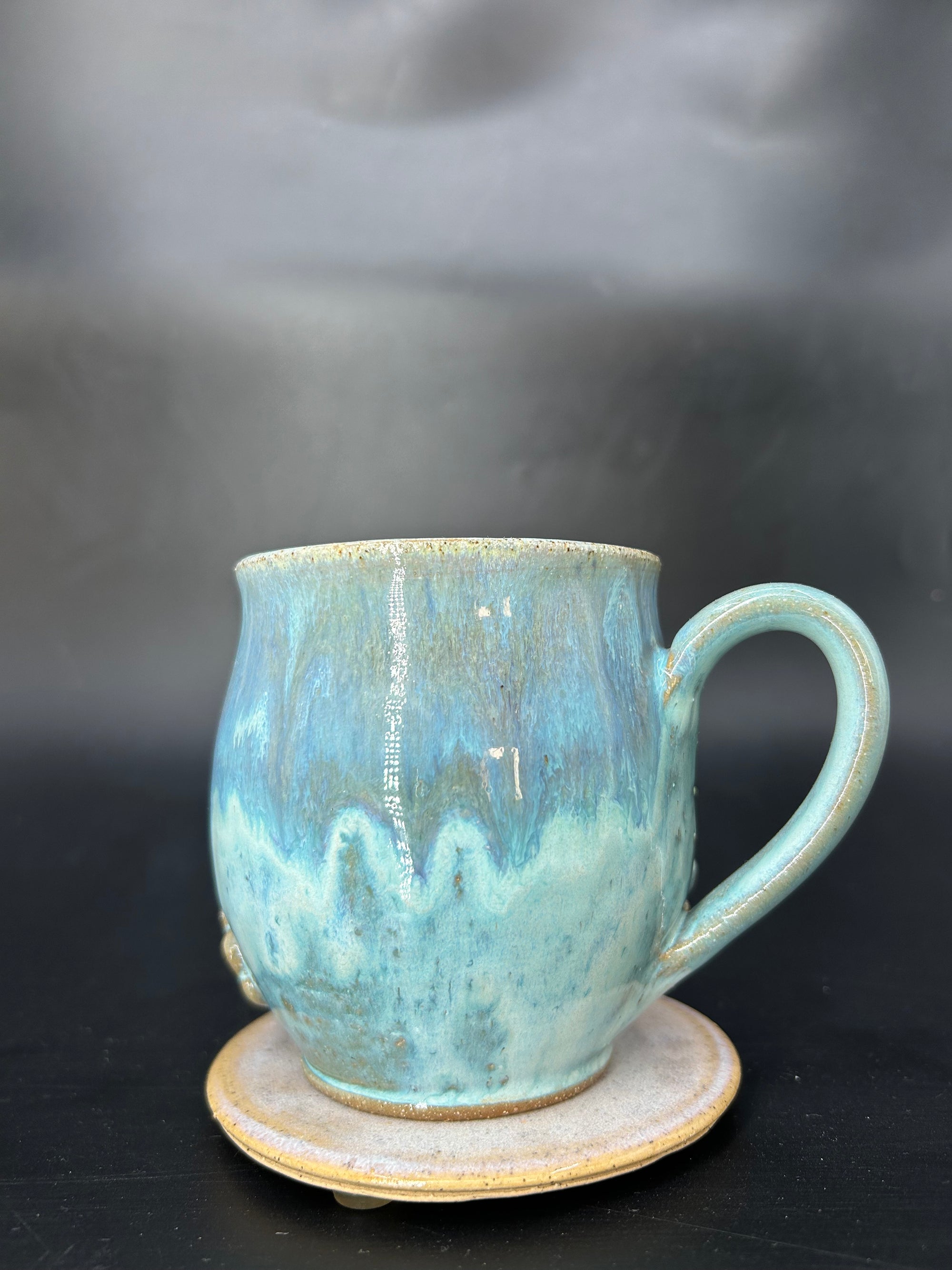 MEDIUM turtle mug 12