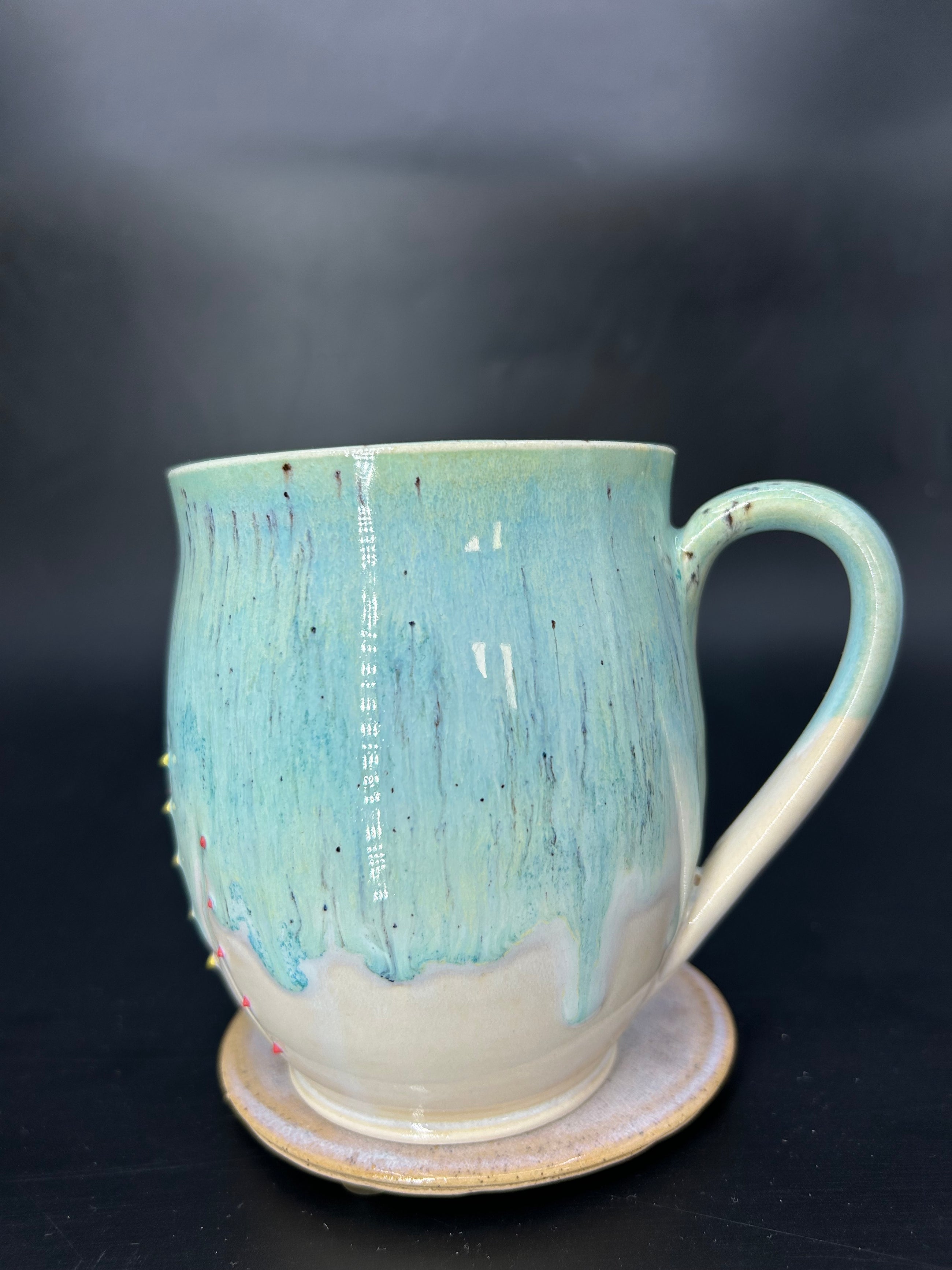 LARGE turtle mug 19