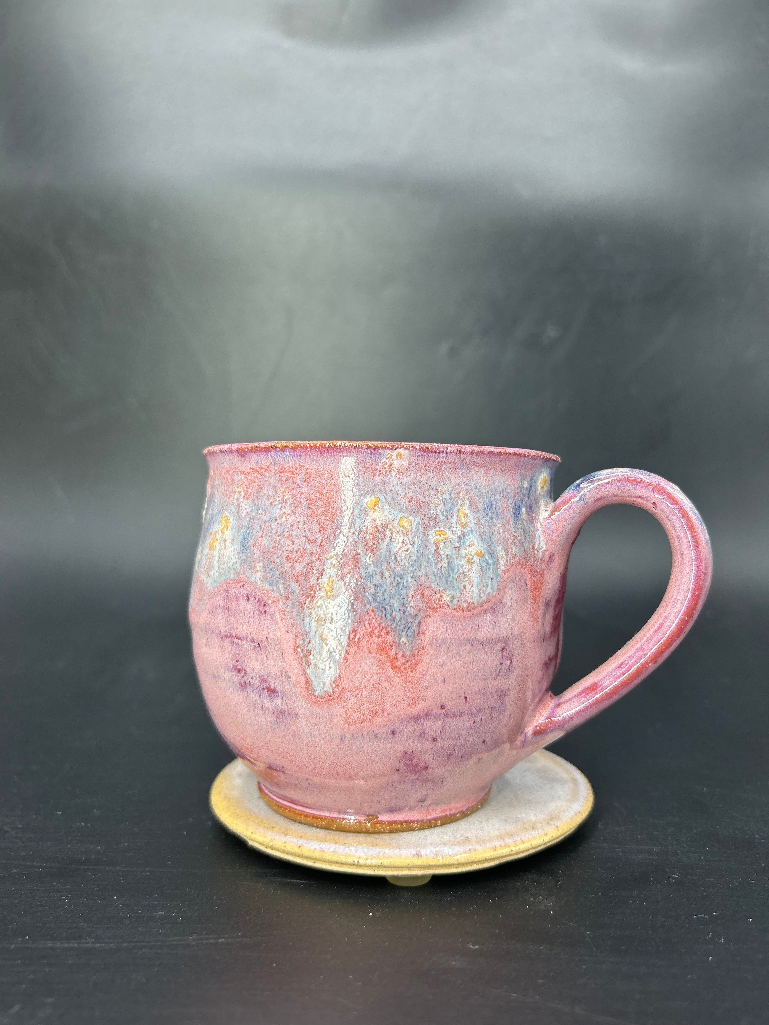 MEDIUM moth mug 7