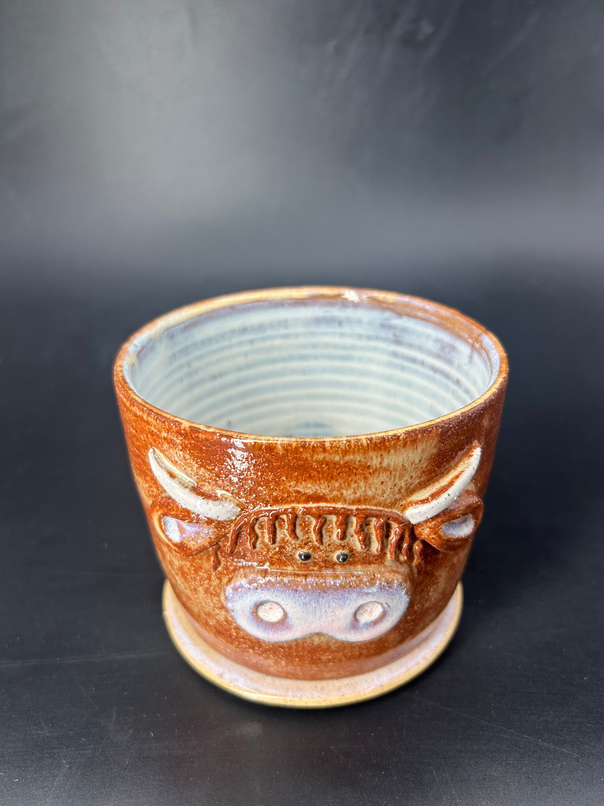 NEW - IMPERFECT highland cow CANISTER - no lid
