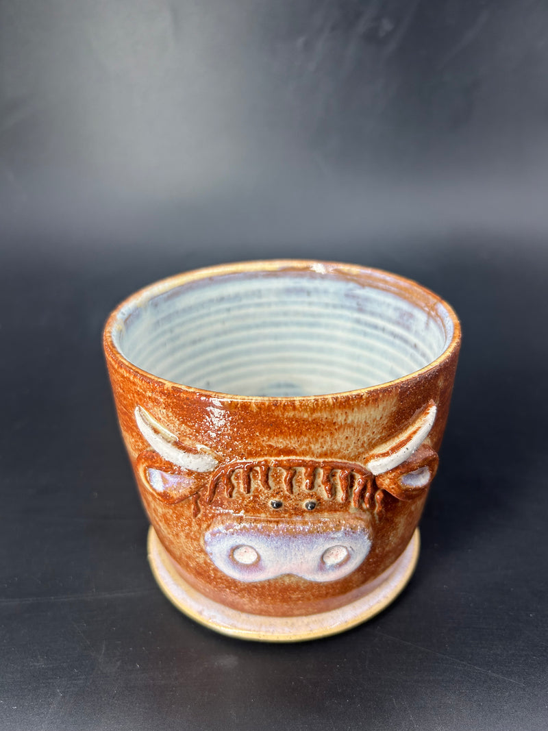 NEW - IMPERFECT highland cow CANISTER - no lid