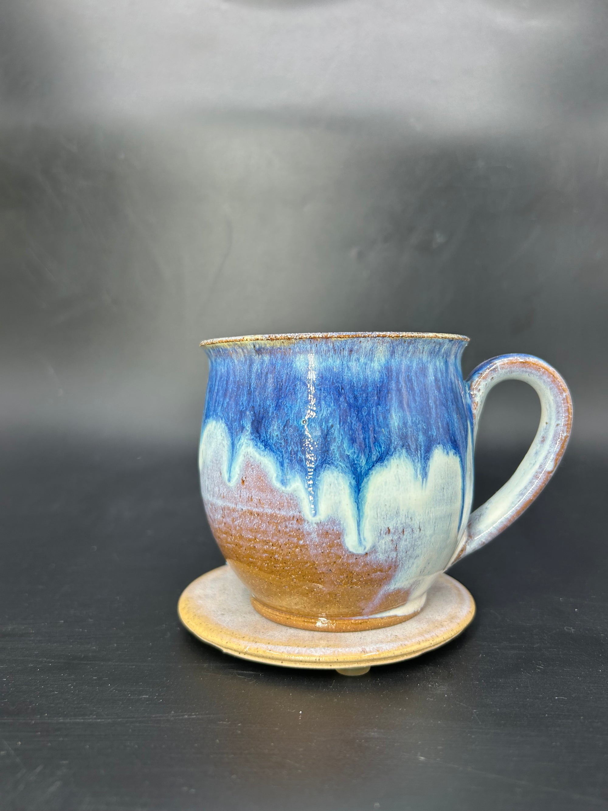 MEDIUM whale shark mug 6