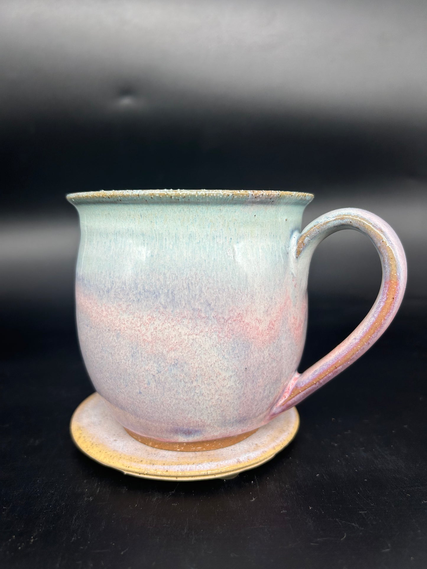 MEDIUM Turtle Mug 2