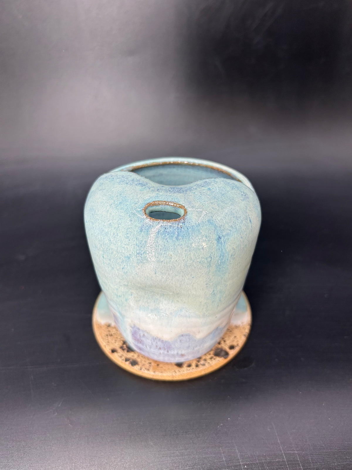 Turtle keep cup