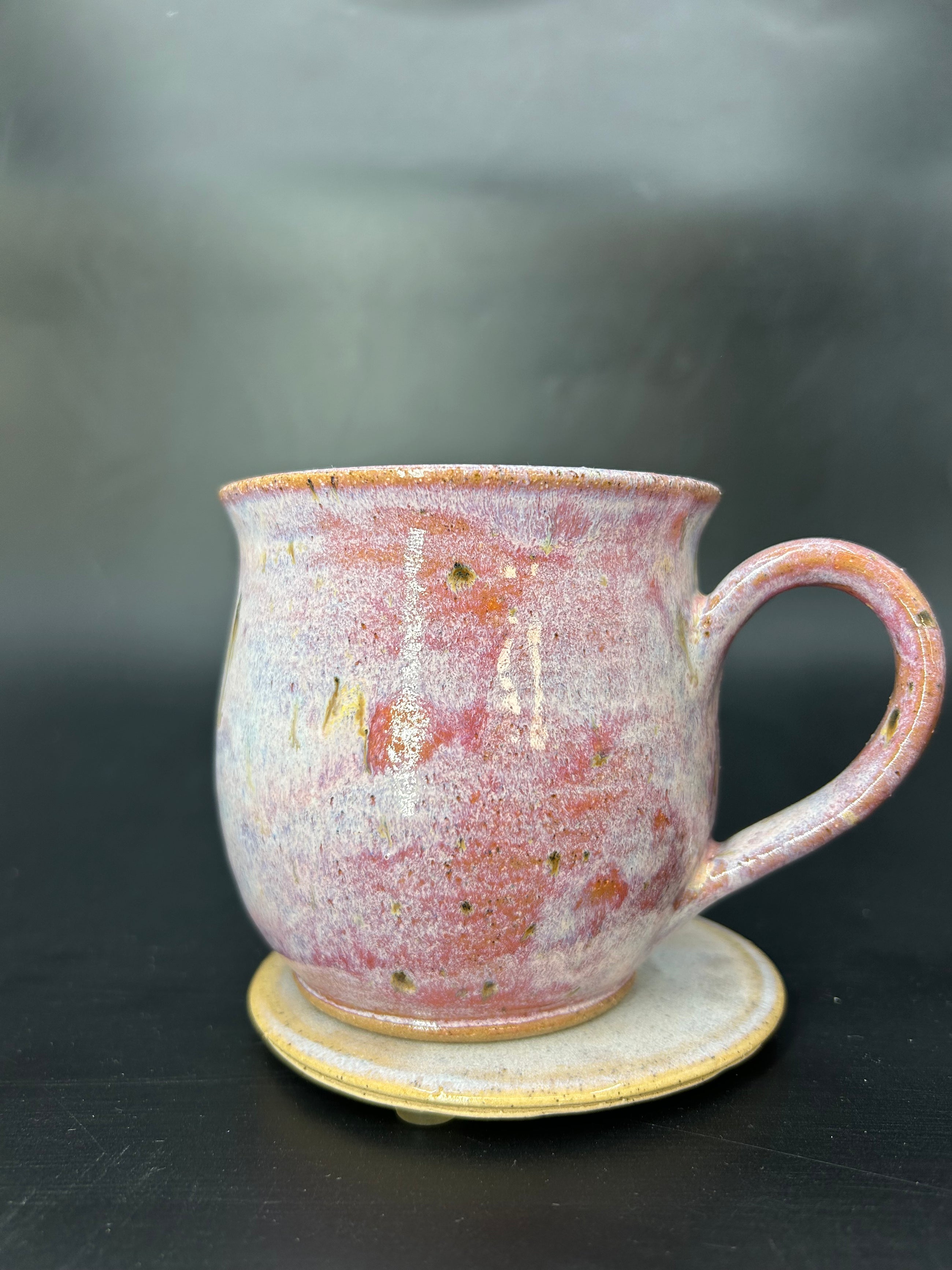 MEDIUM turtle mug 5