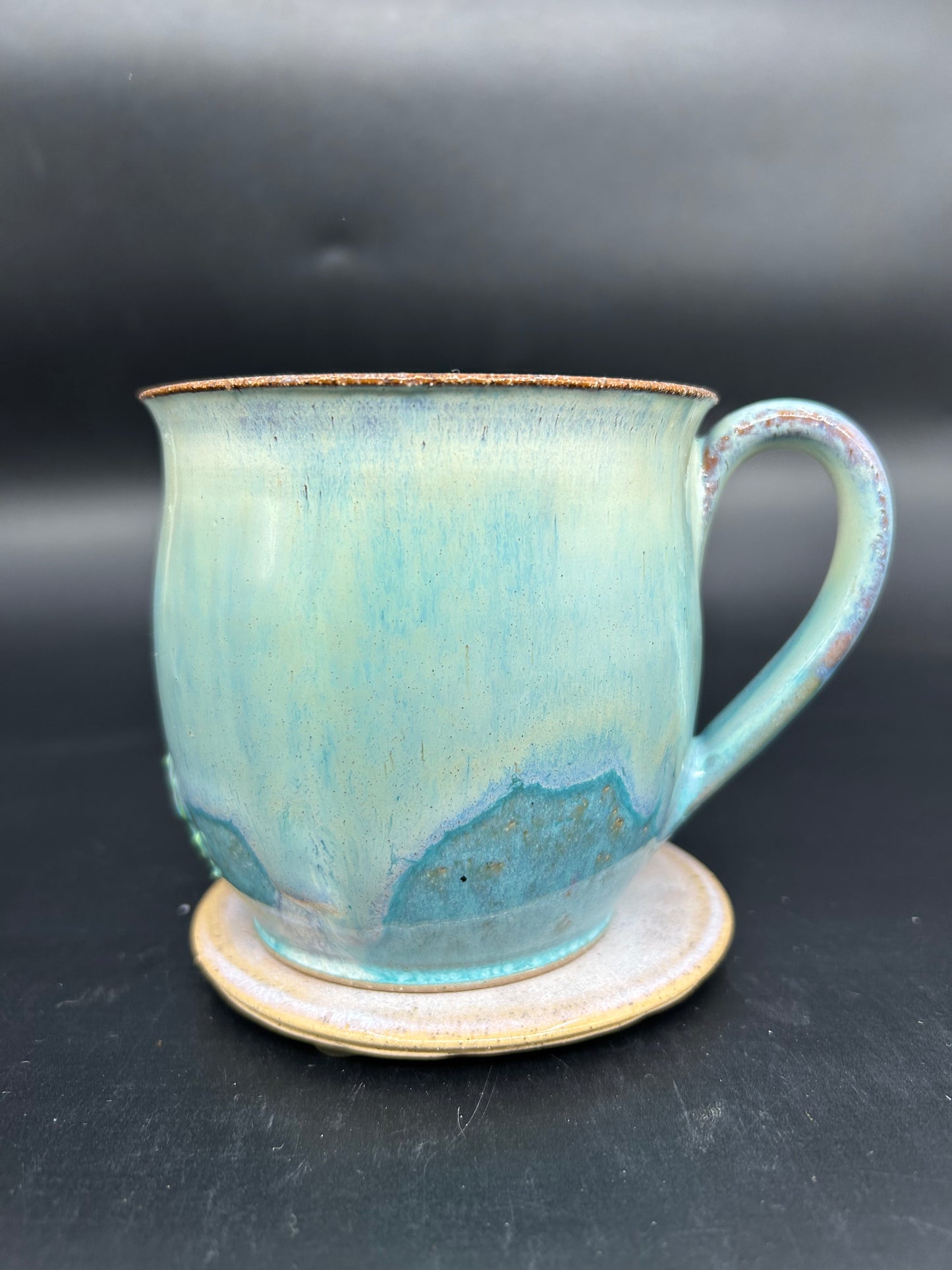 MEDIUM Turtle Mug