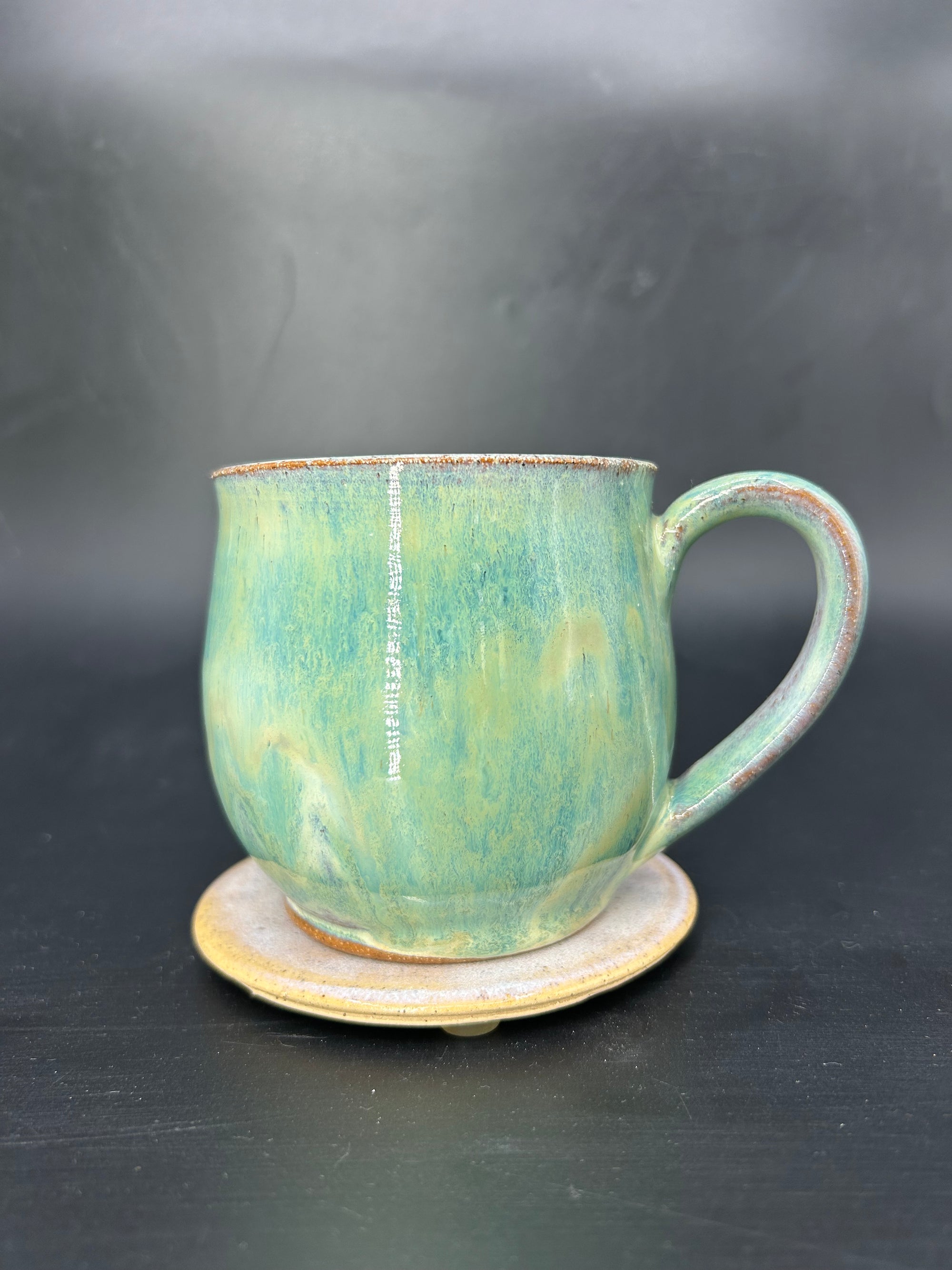 MEDIUM whale shark coral mug 14