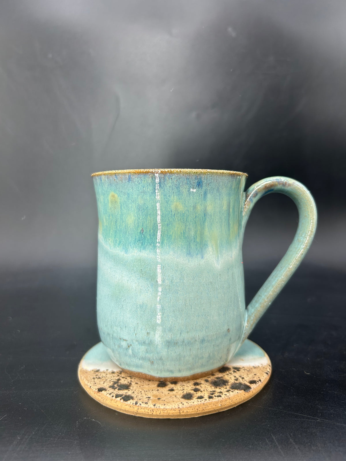MEDIUM turtle mug 1
