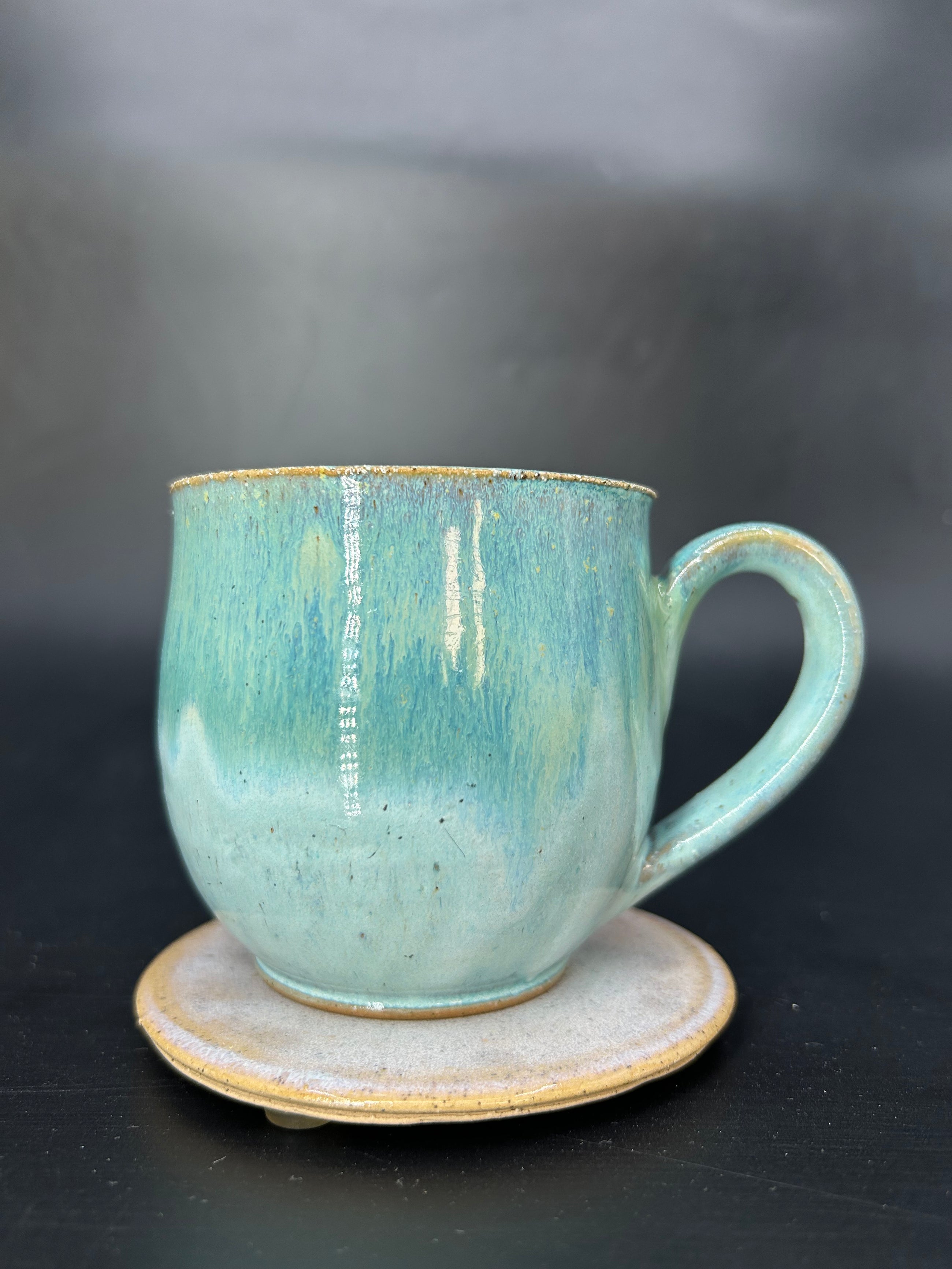 MEDIUM turtle mug 15