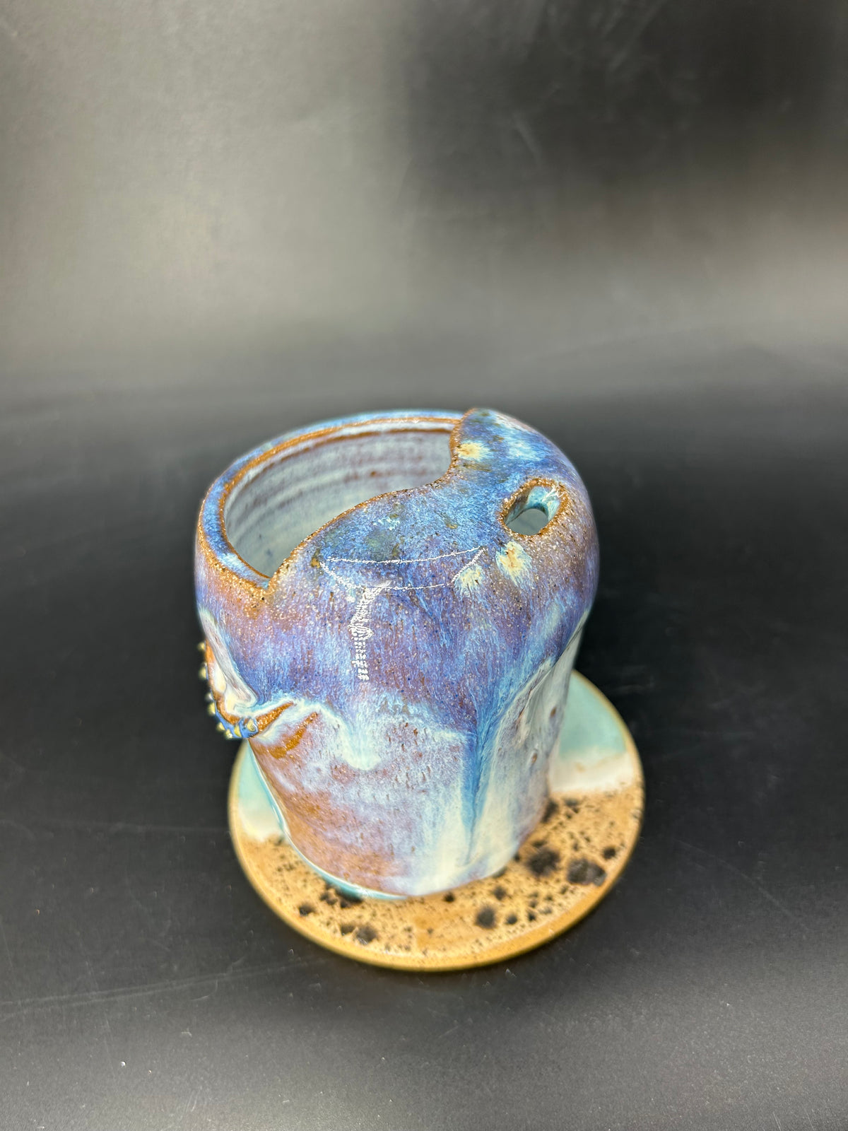 Whale shark keep cup - short