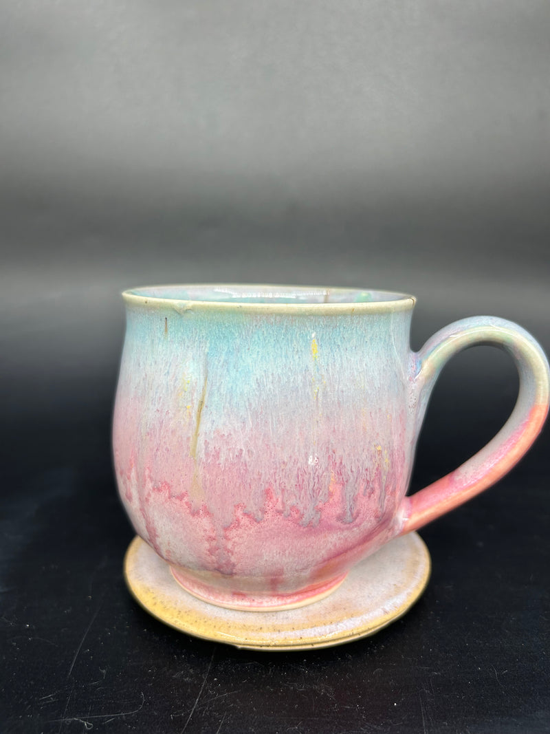 MEDIUM turtle mug 13