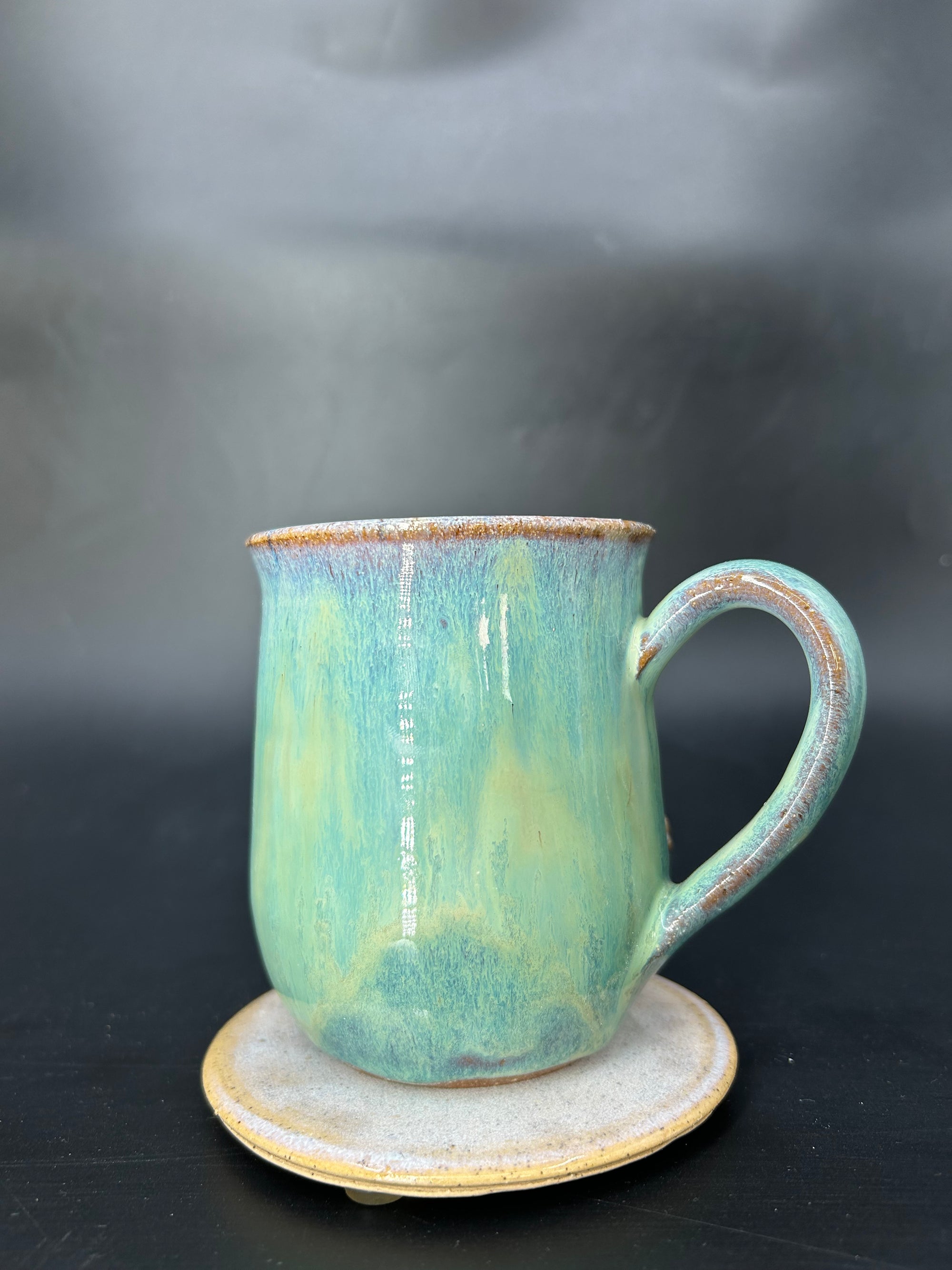 MEDIUM turtle mug 4