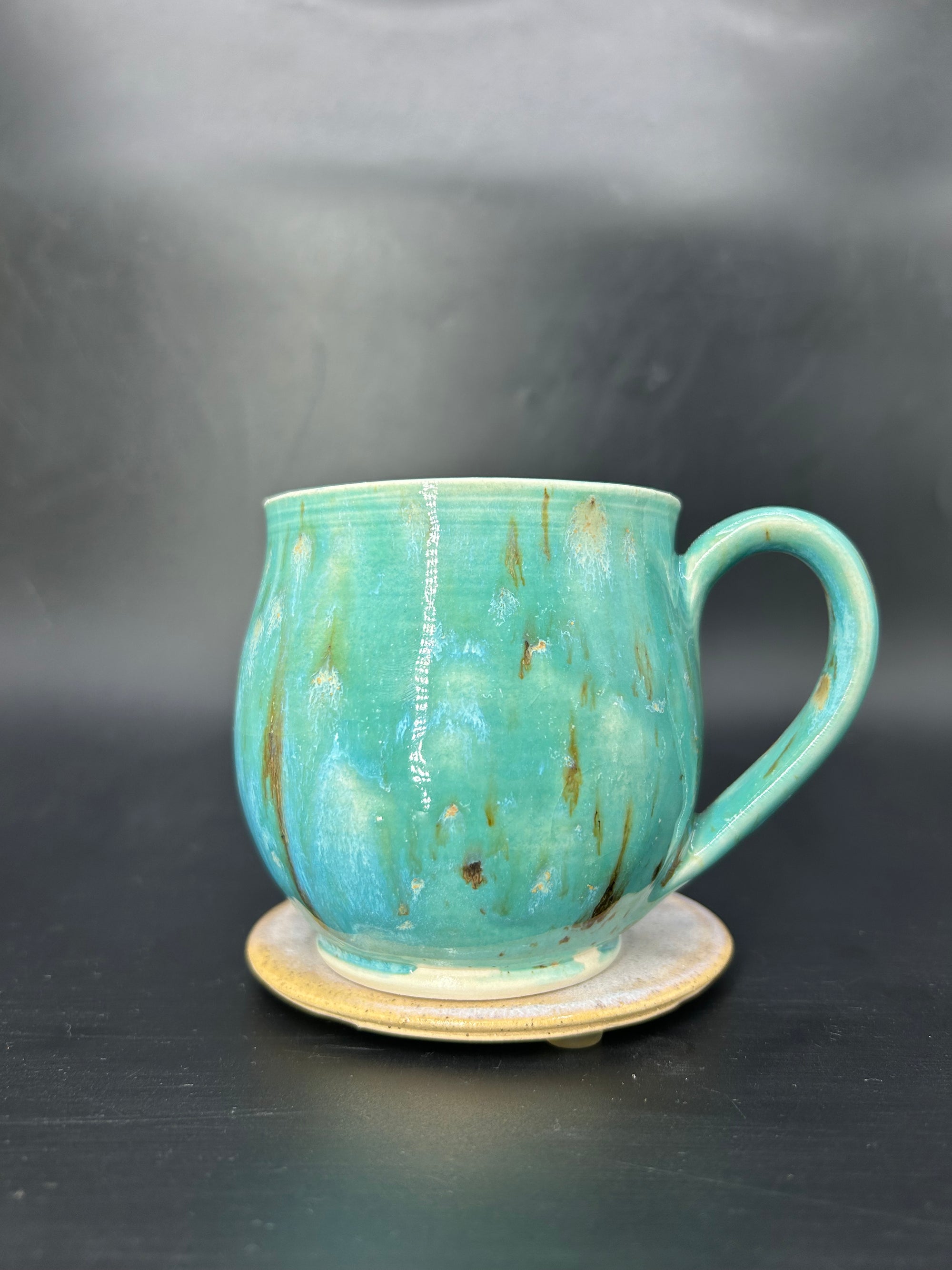 MEDIUM leopard shark mug 3