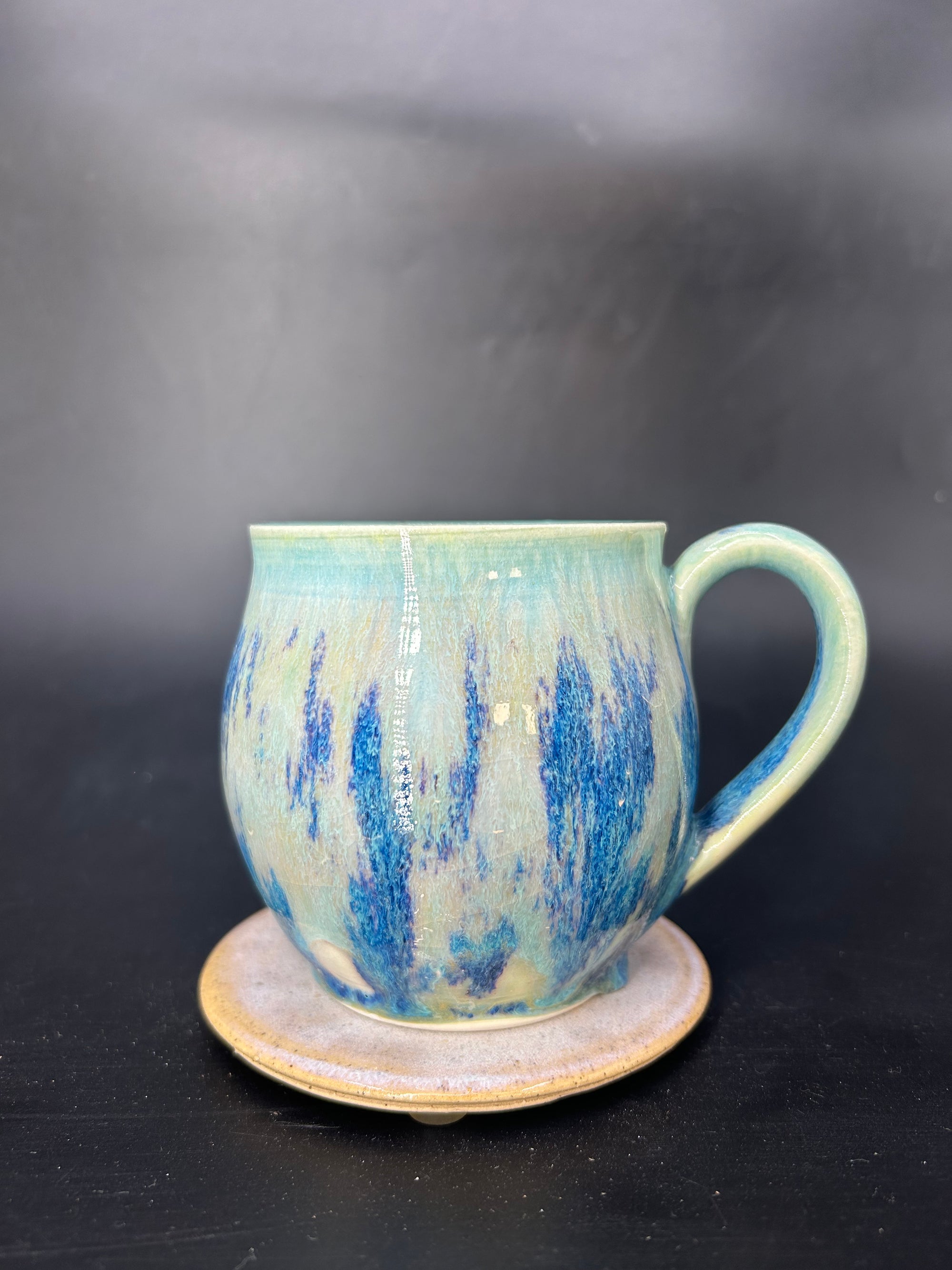 MEDIUM tiger shark mug