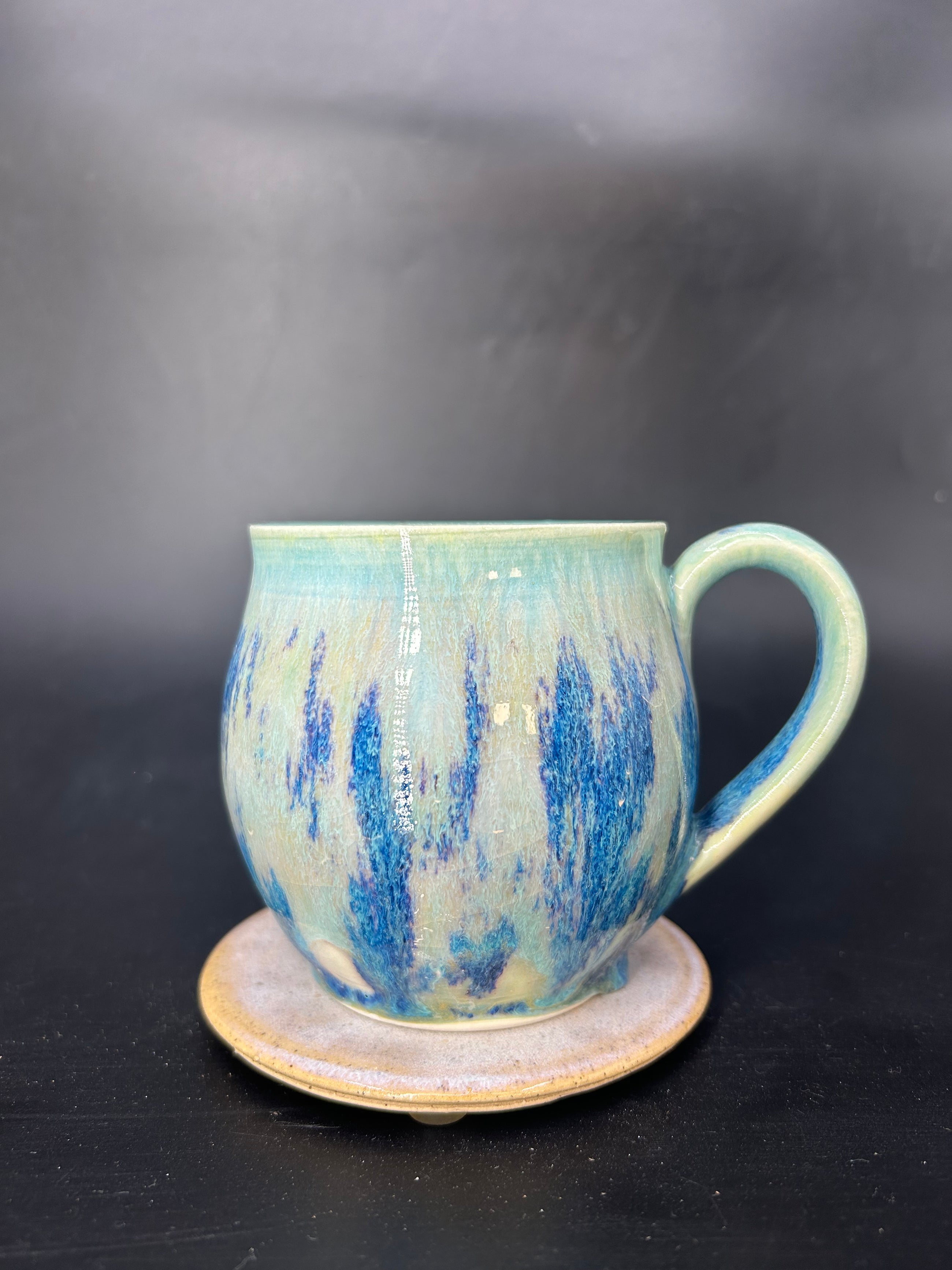 MEDIUM tiger shark mug