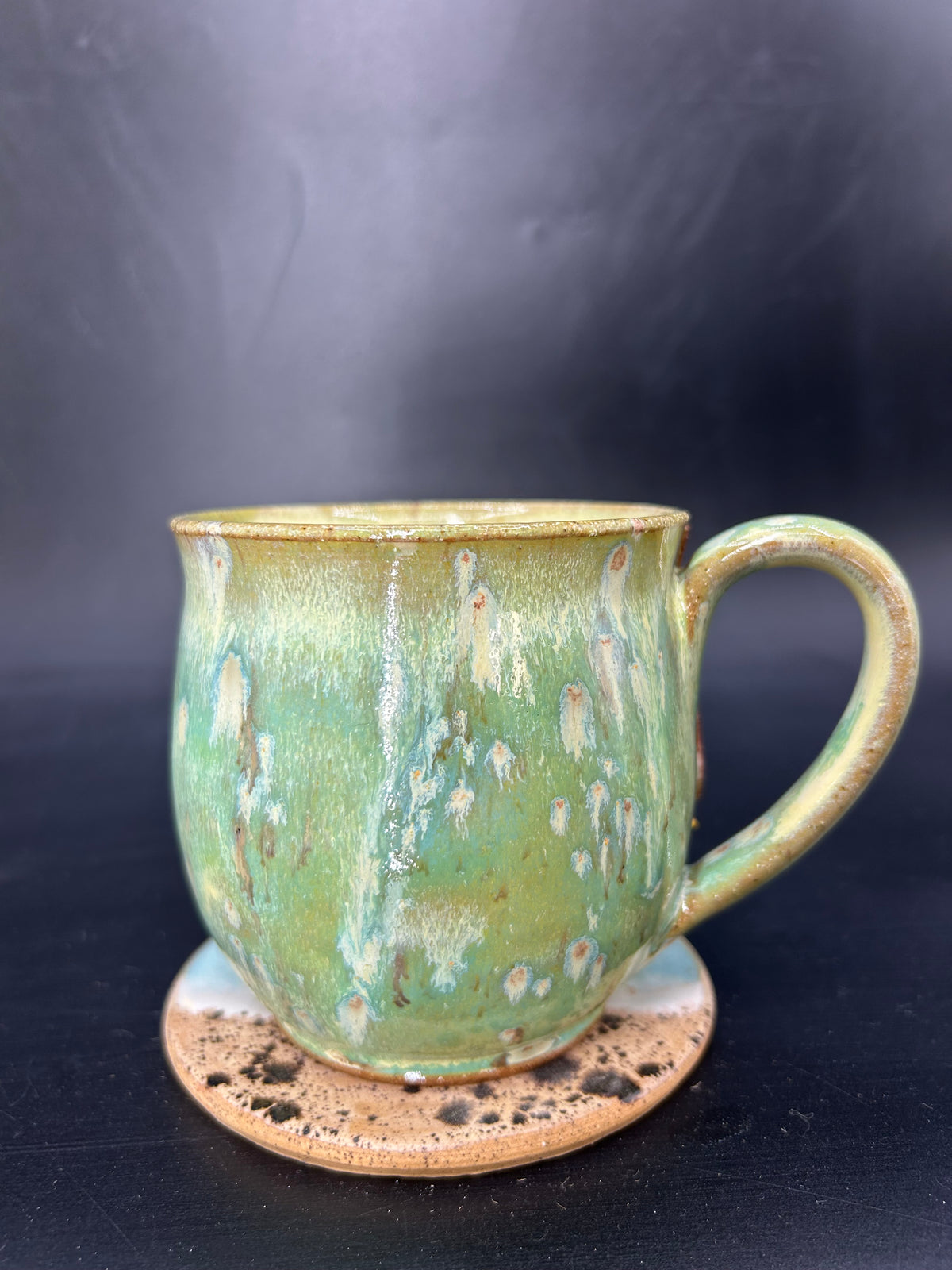 MEDIUM Australian koala mug 12
