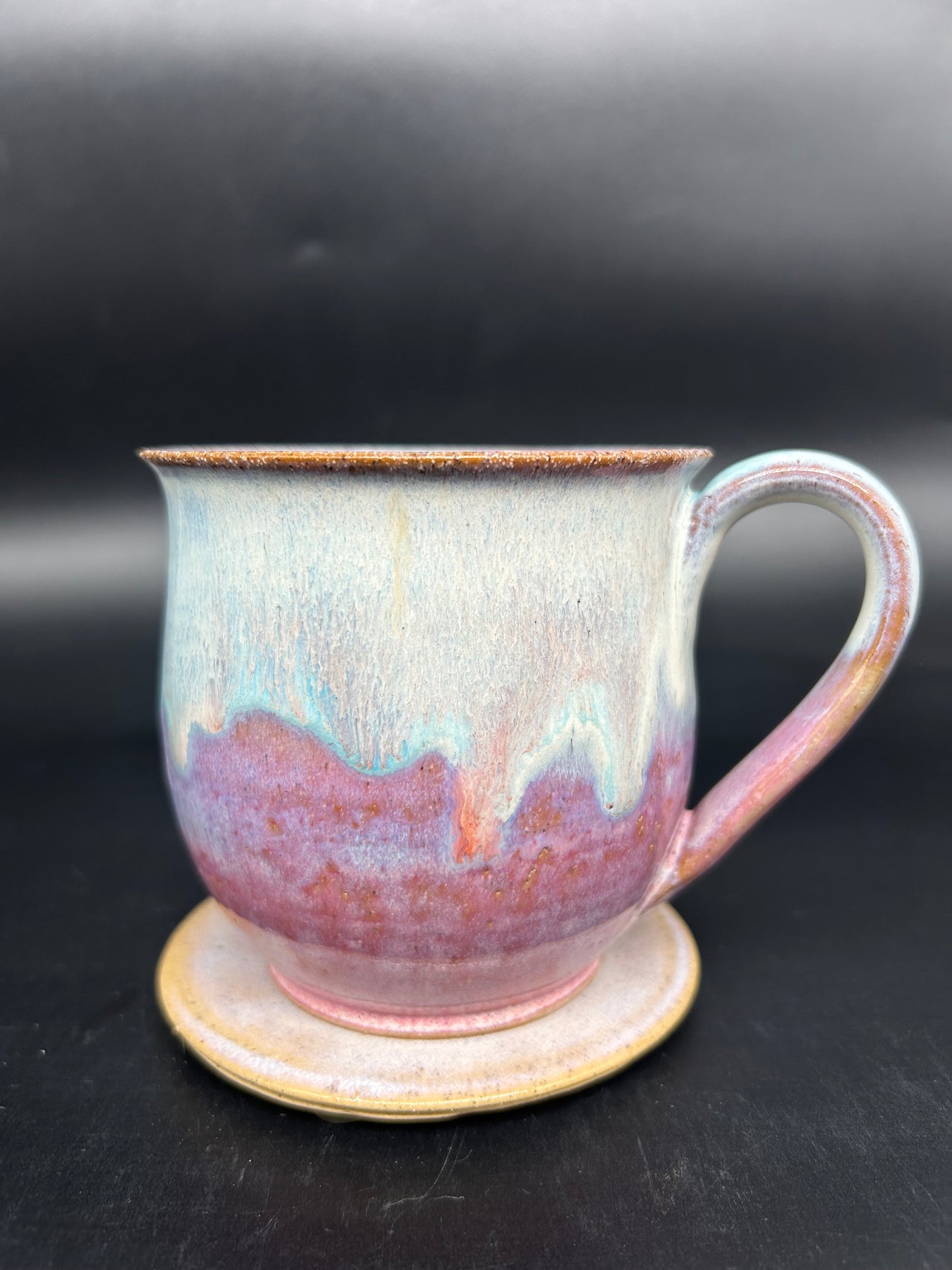 MEDIUM van life mug 3