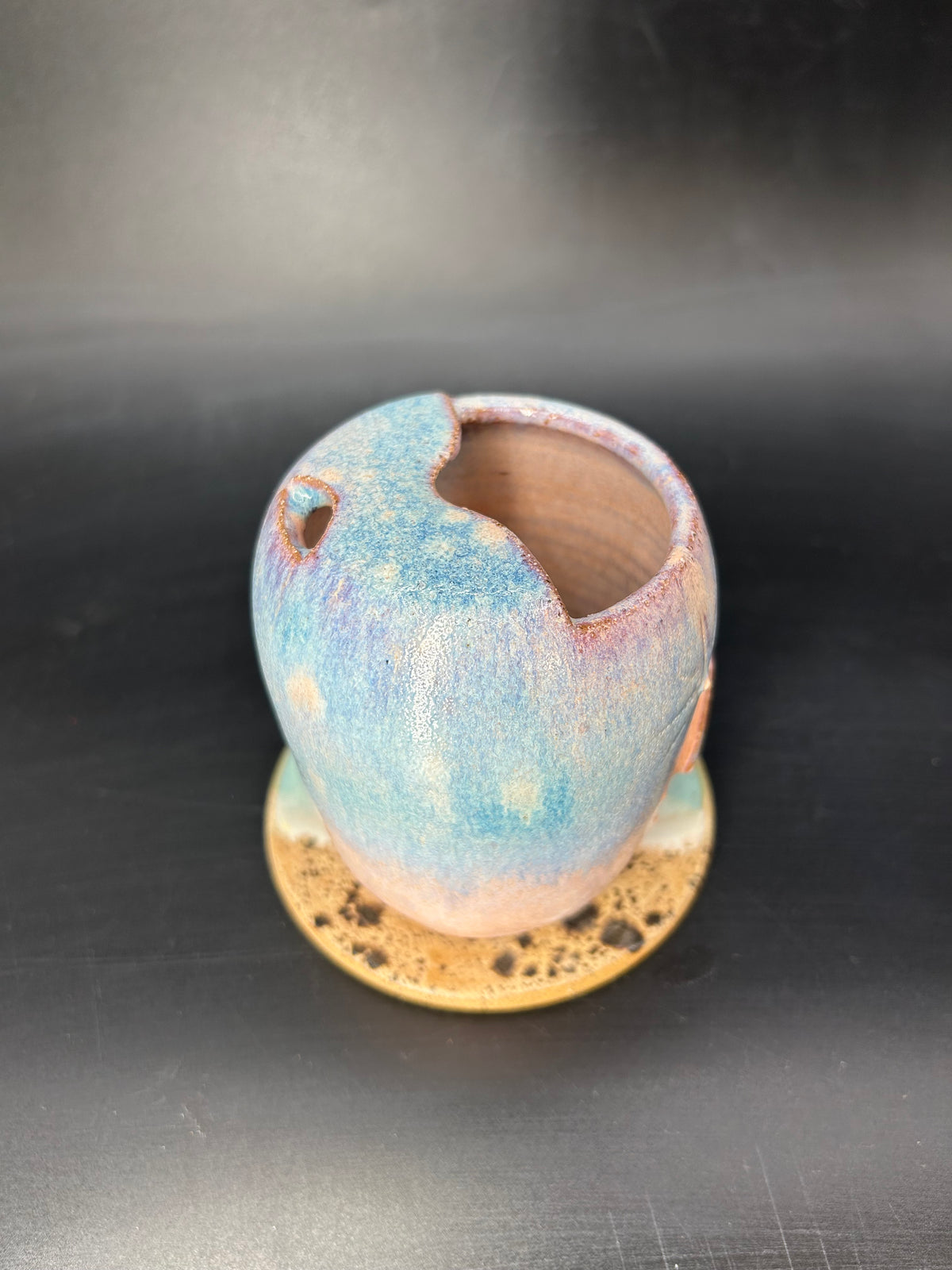 IMPERFECT - SMALL moth keep cup