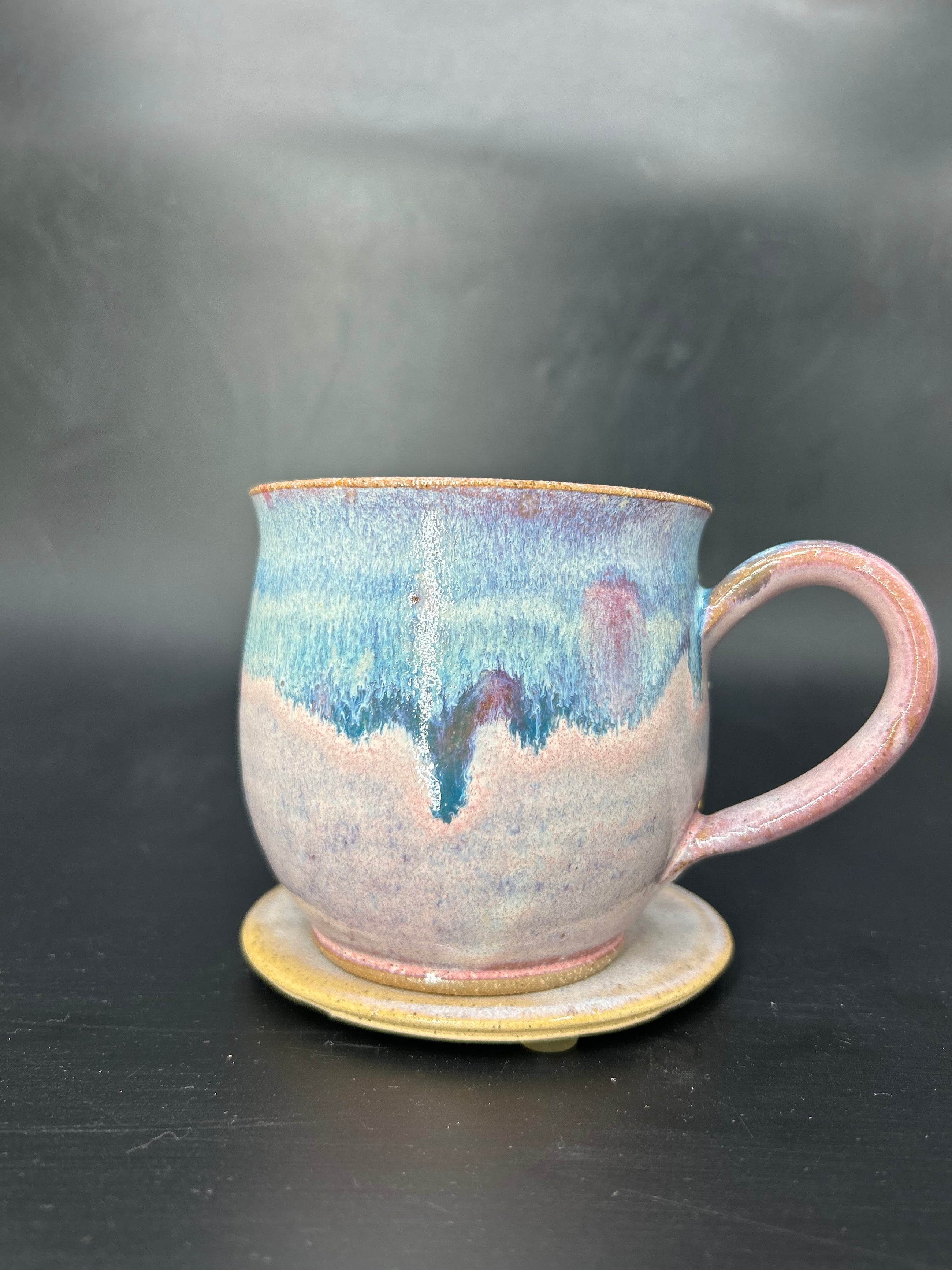 MEDIUM seahorse mug 2
