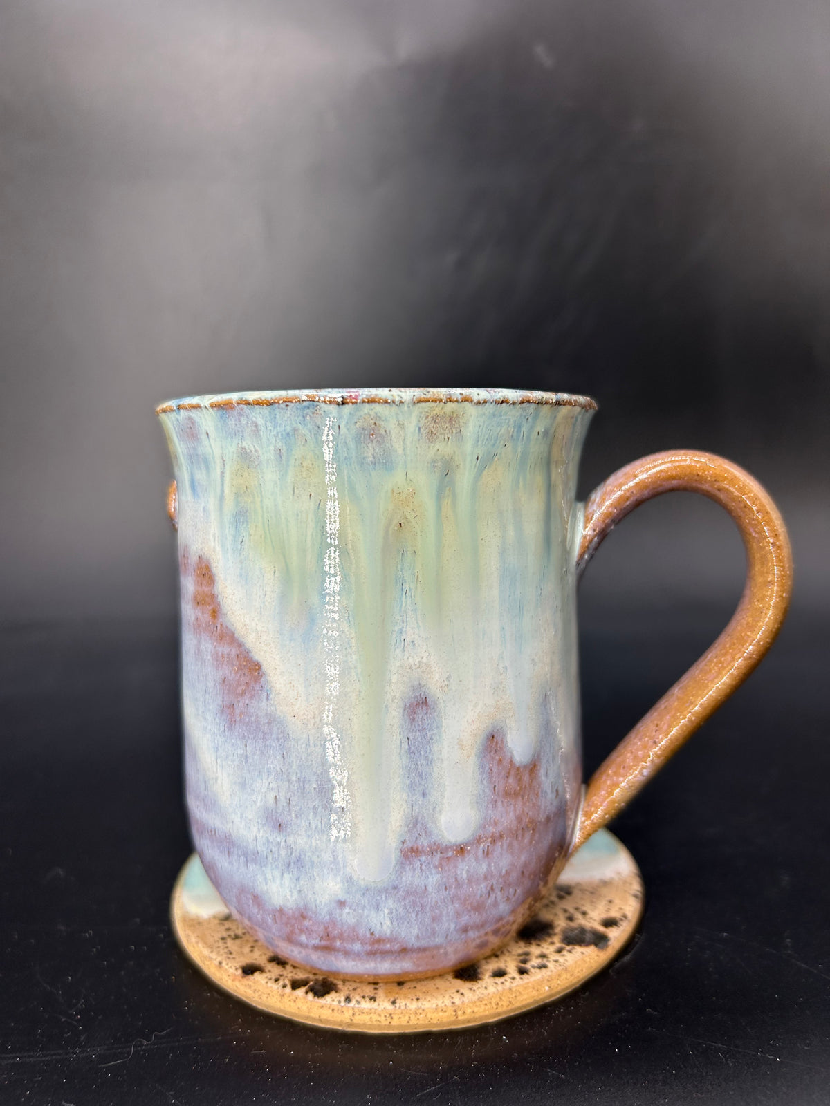 MEDIUM turtle mug 1