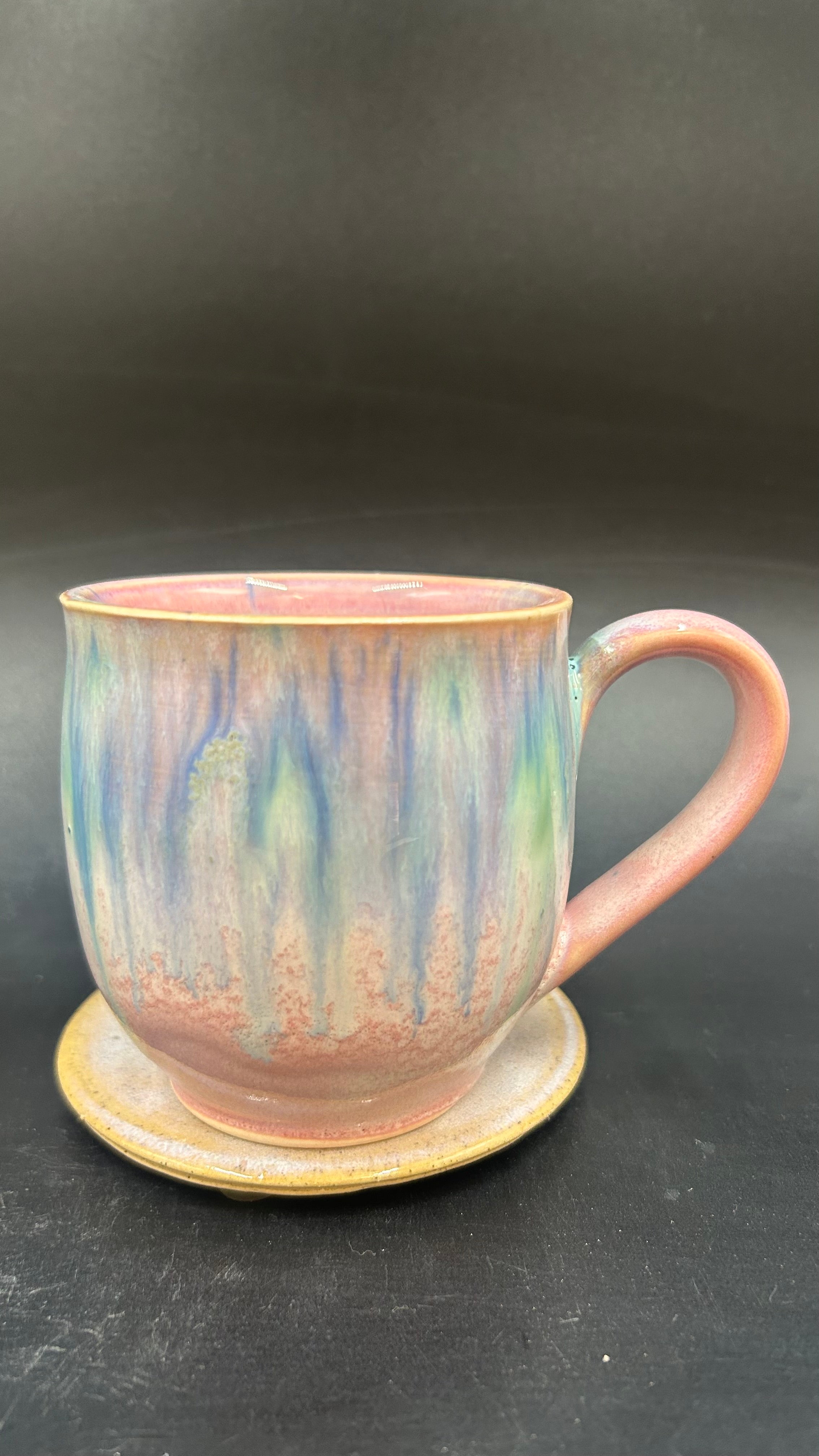 PRE ORDER TURTLE MUG - MADE TO ORDER